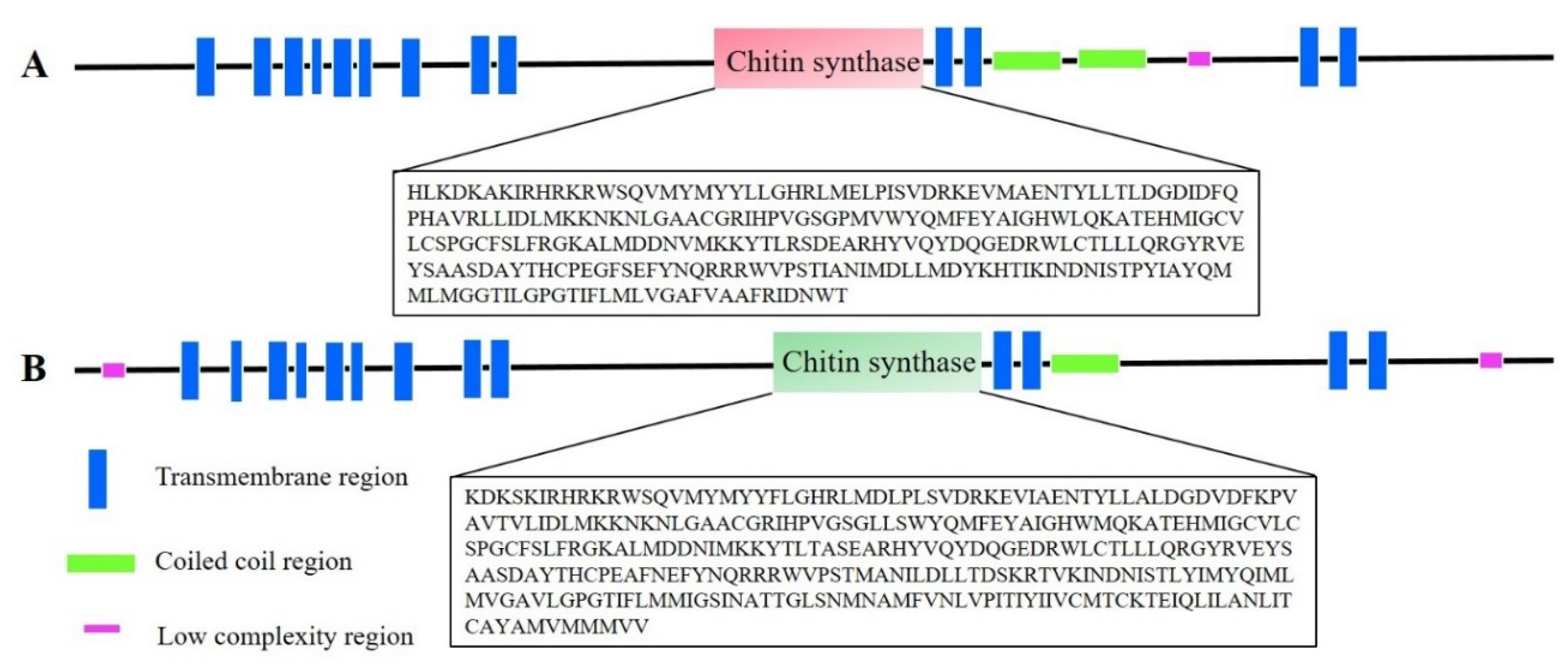 Ijms 21 04656 g002 Ijms 21 04656 g002