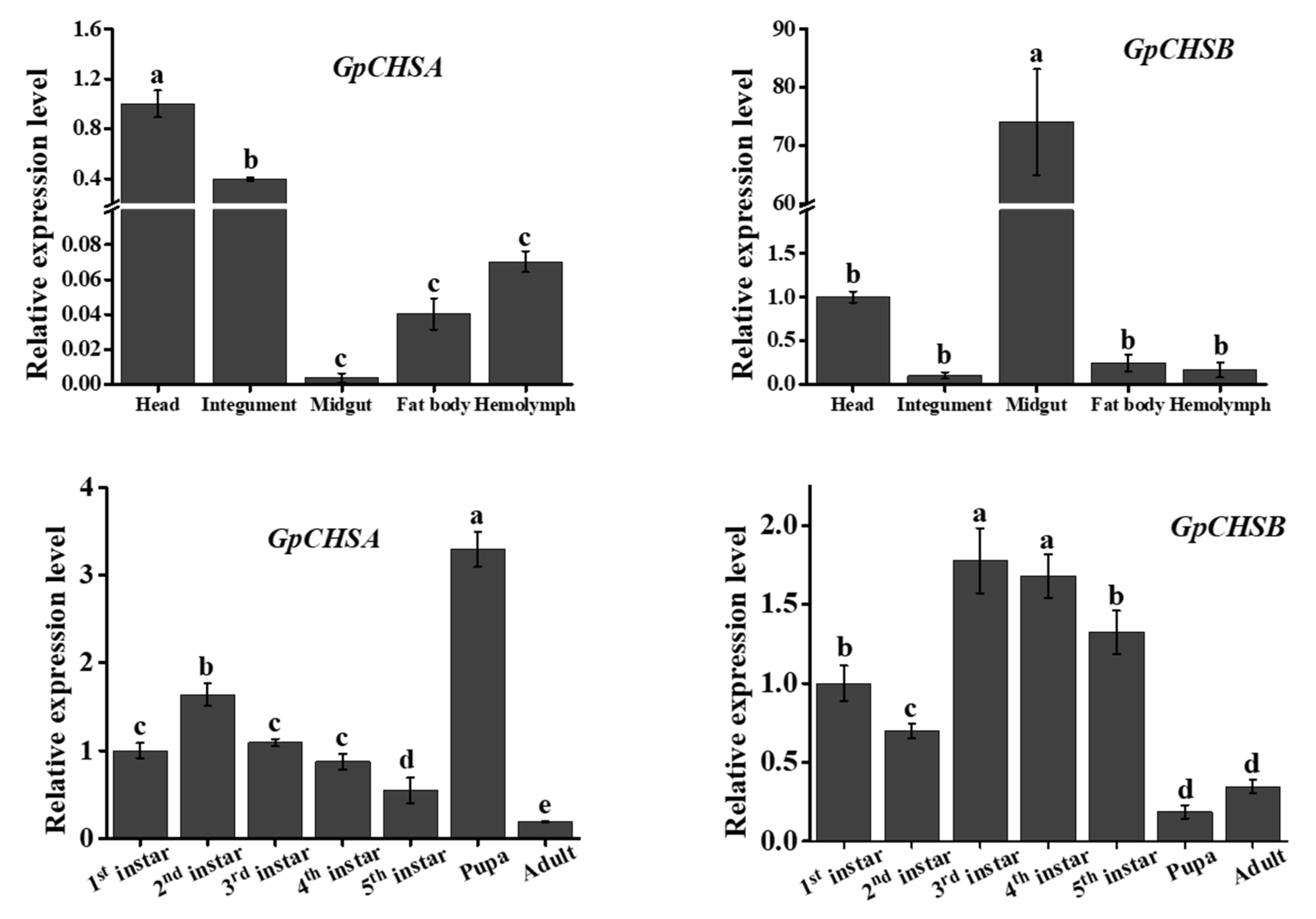 Ijms 21 04656 g004 Ijms 21 04656 g004