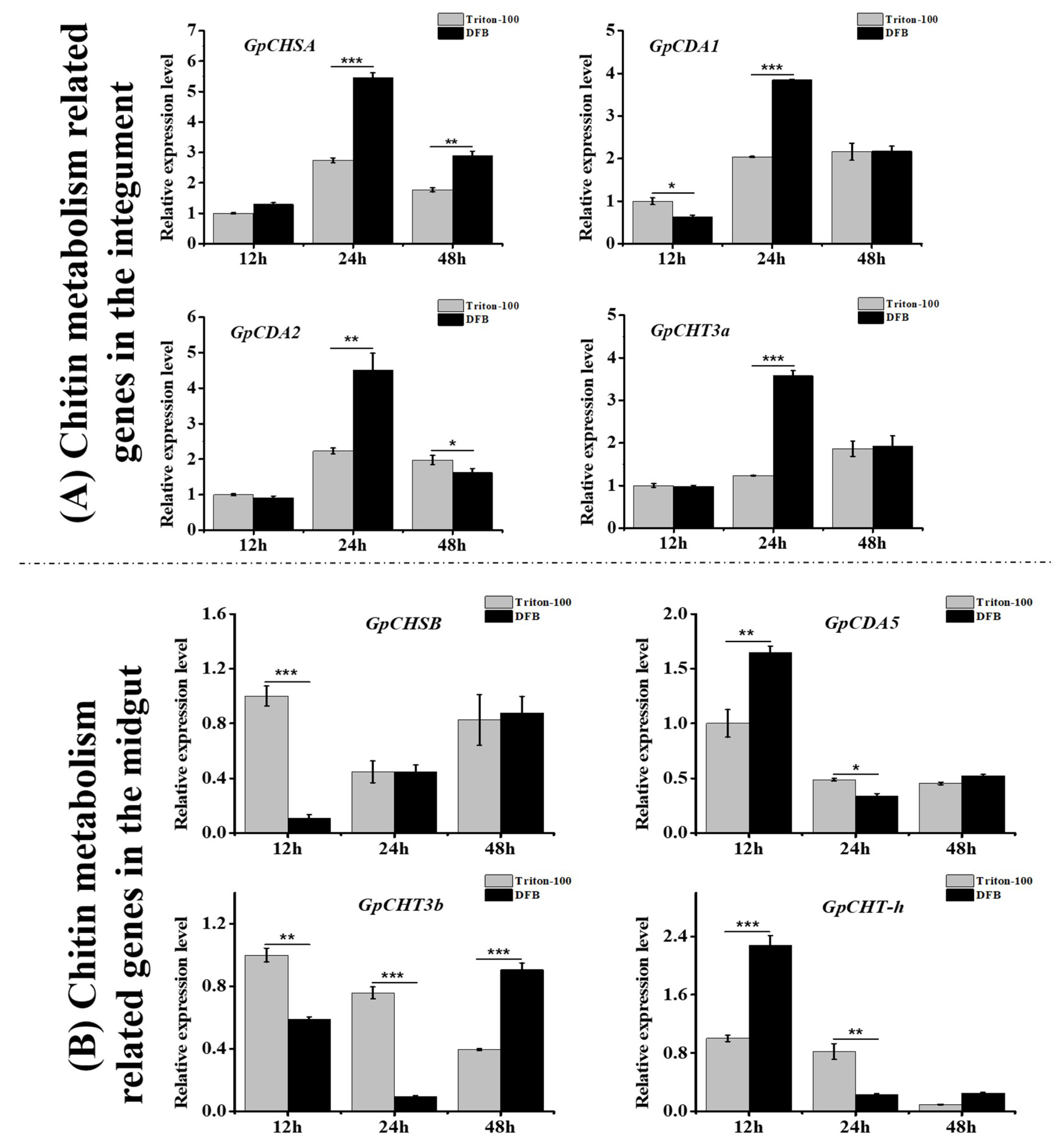 Ijms 21 04656 g008 Ijms 21 04656 g008