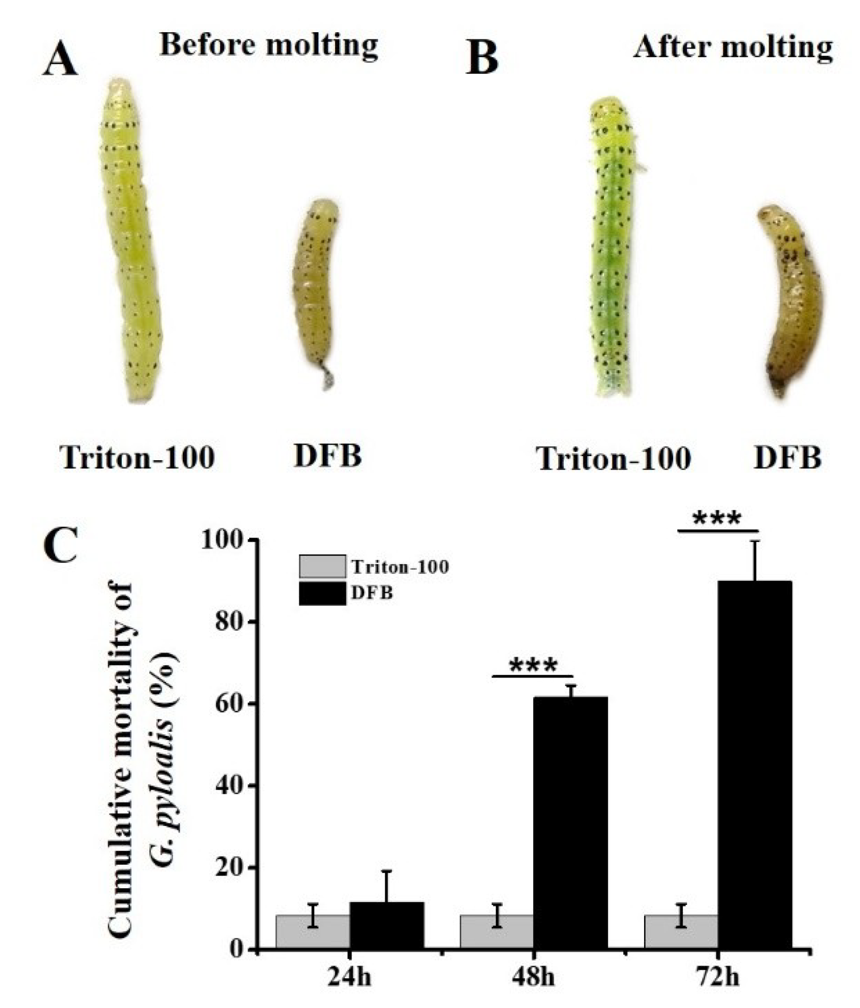 Ijms 21 04656 g009 Ijms 21 04656 g009