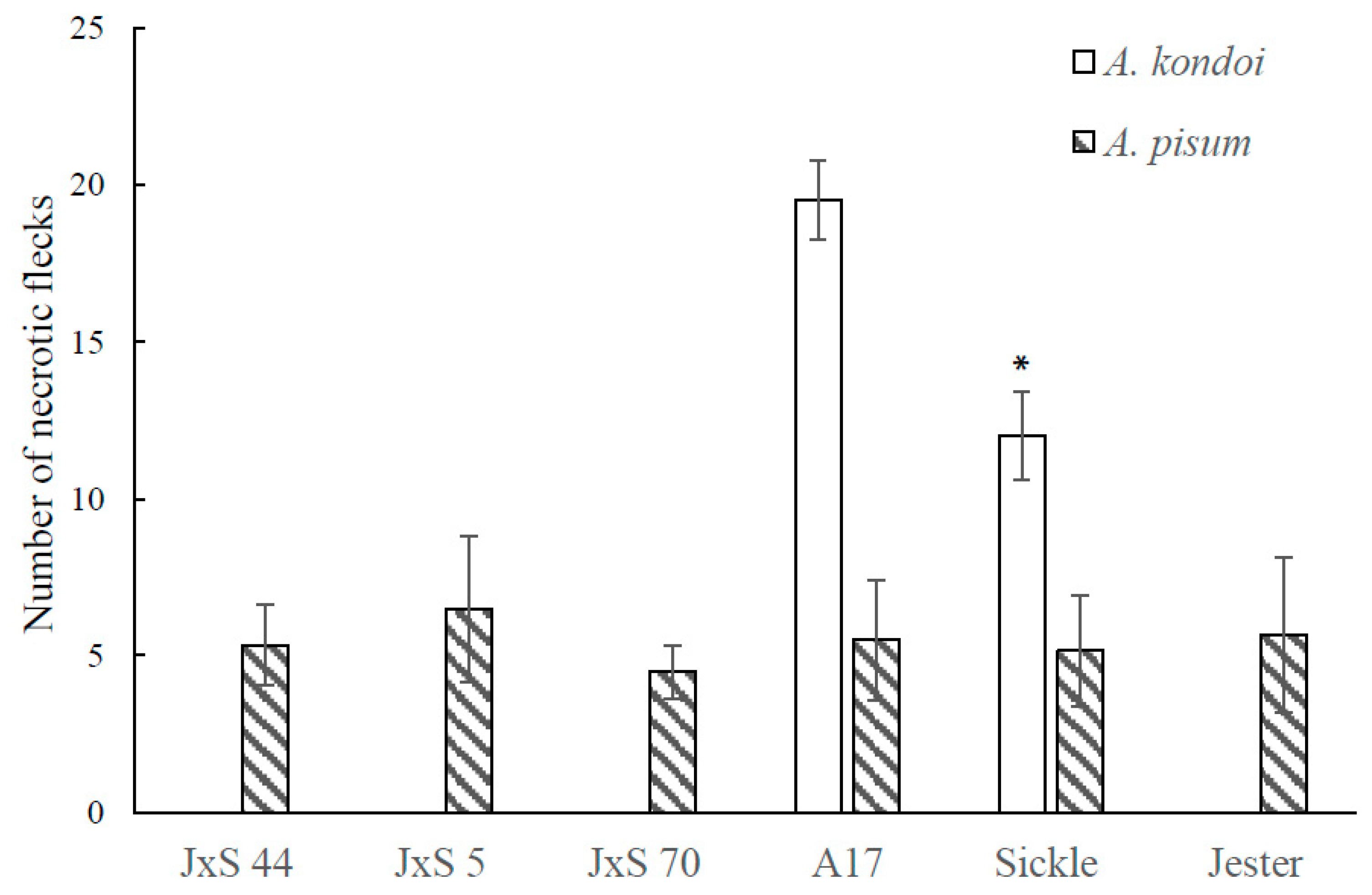 Ijms 21 04657 g006 Ijms 21 04657 g006