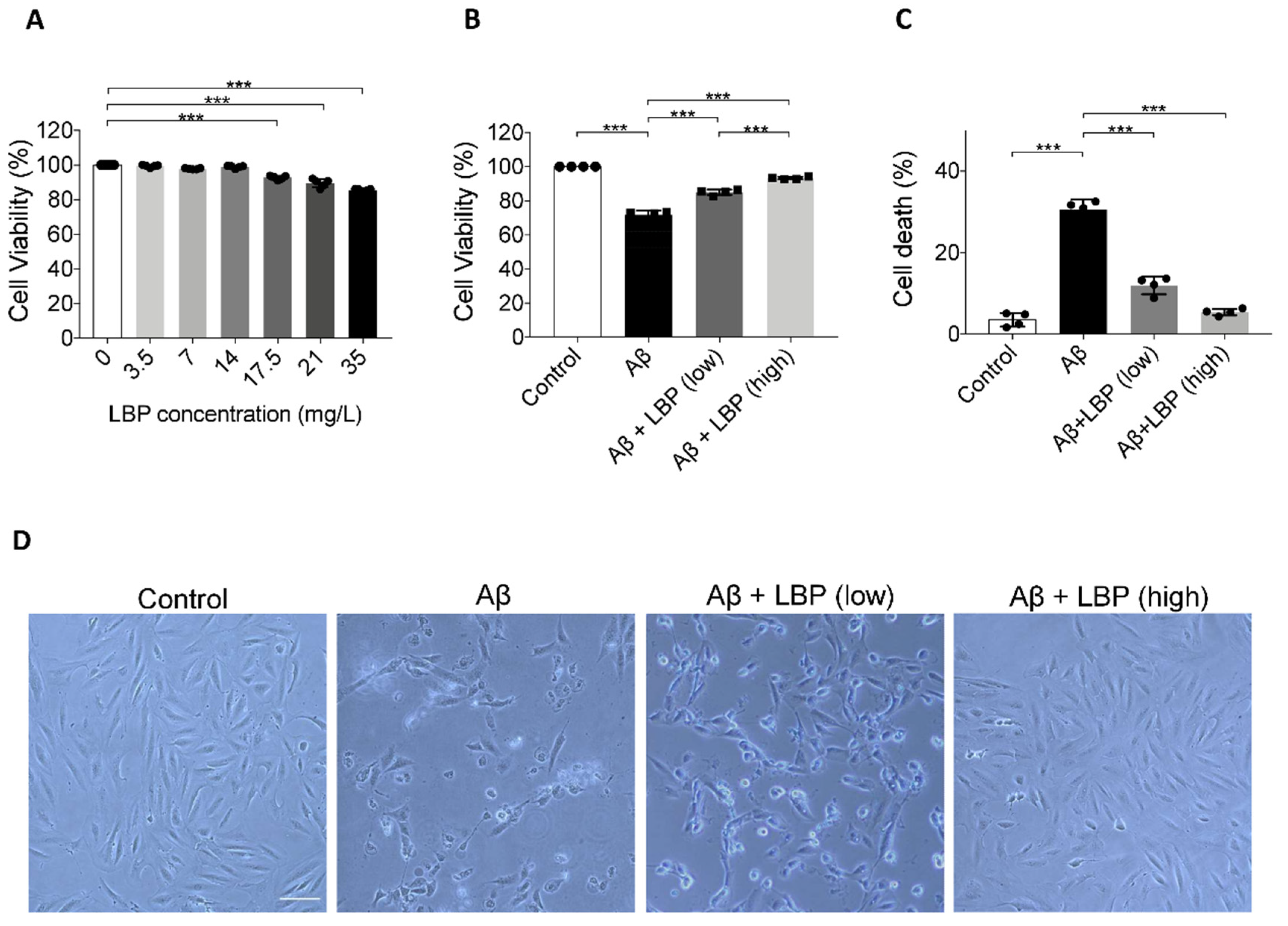 Ijms 21 04658 g002 Ijms 21 04658 g002