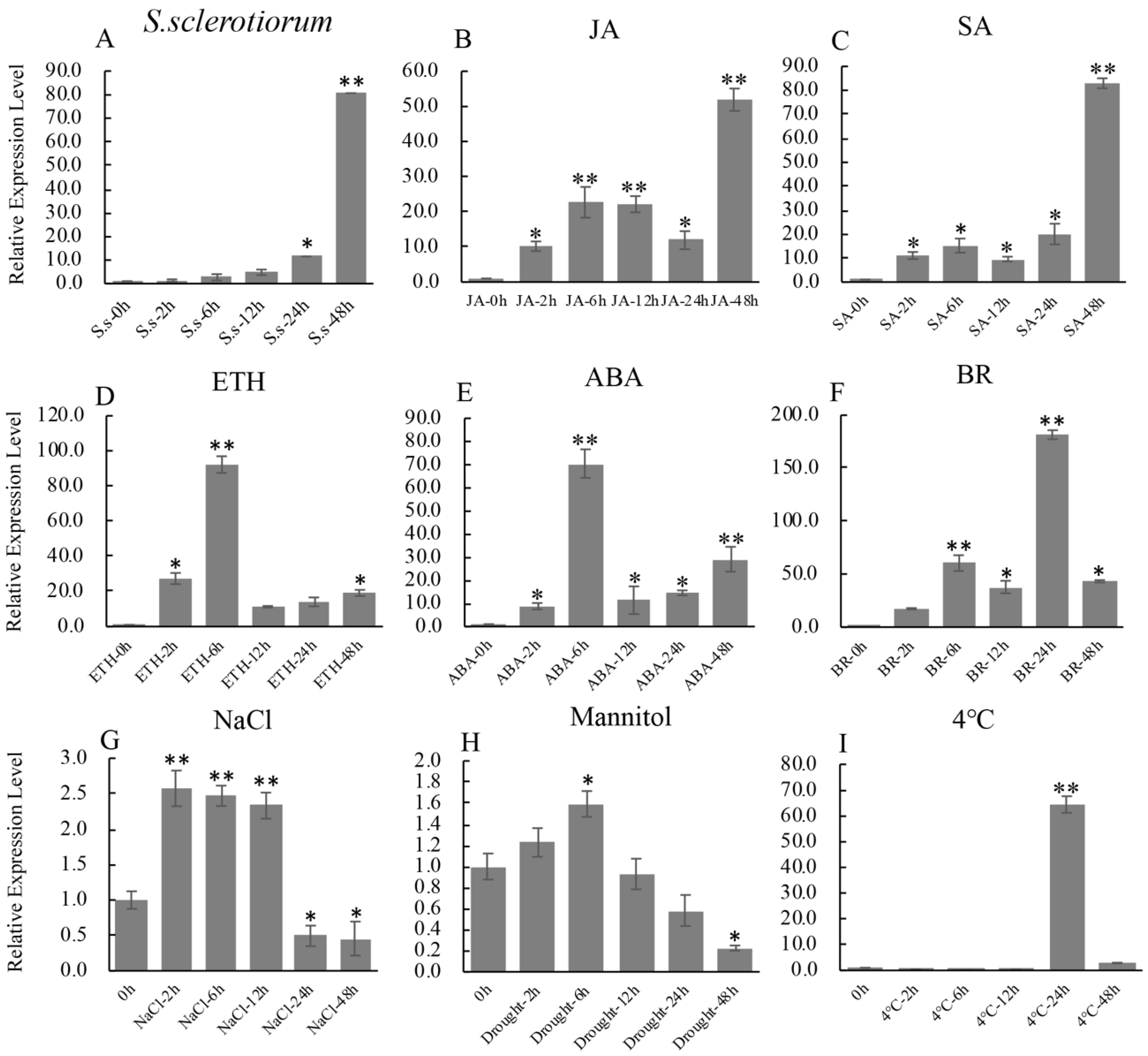 Ijms 21 04701 g001 Ijms 21 04701 g001