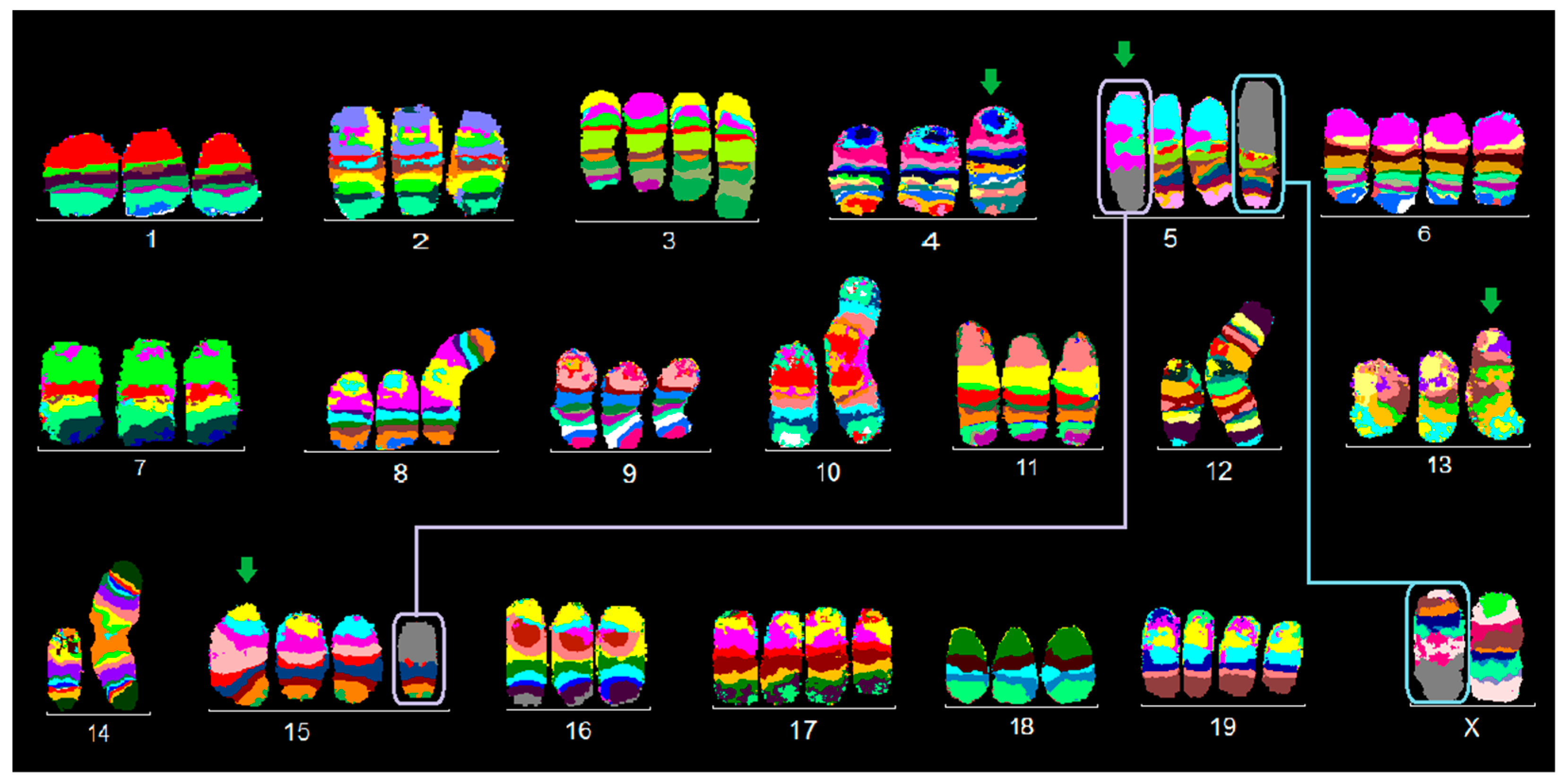 Ijms 21 04716 g002 Ijms 21 04716 g002
