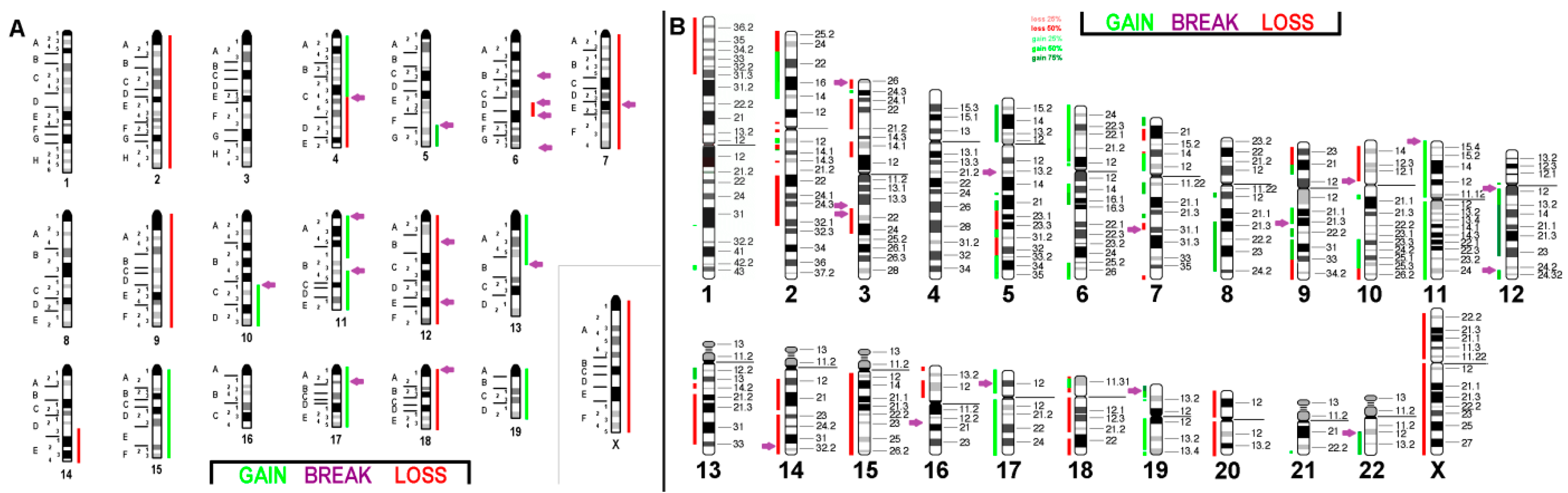 Ijms 21 04716 g004 Ijms 21 04716 g004