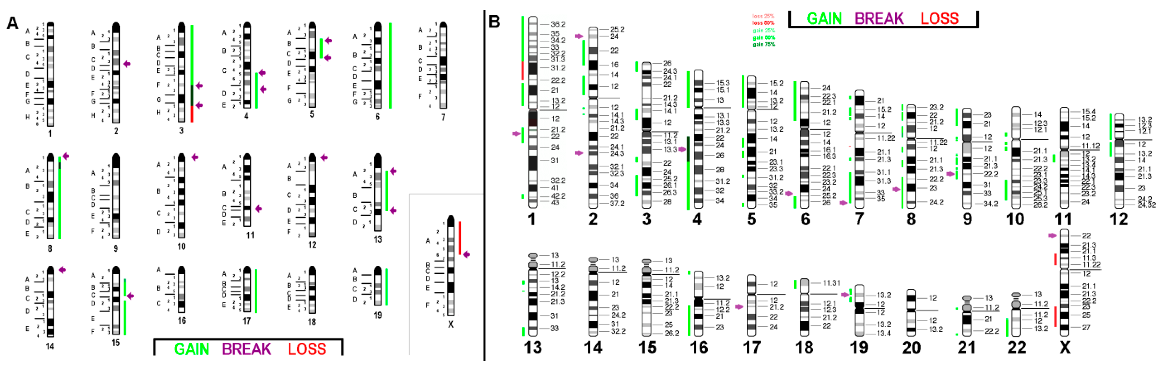 Ijms 21 04716 g005 Ijms 21 04716 g005