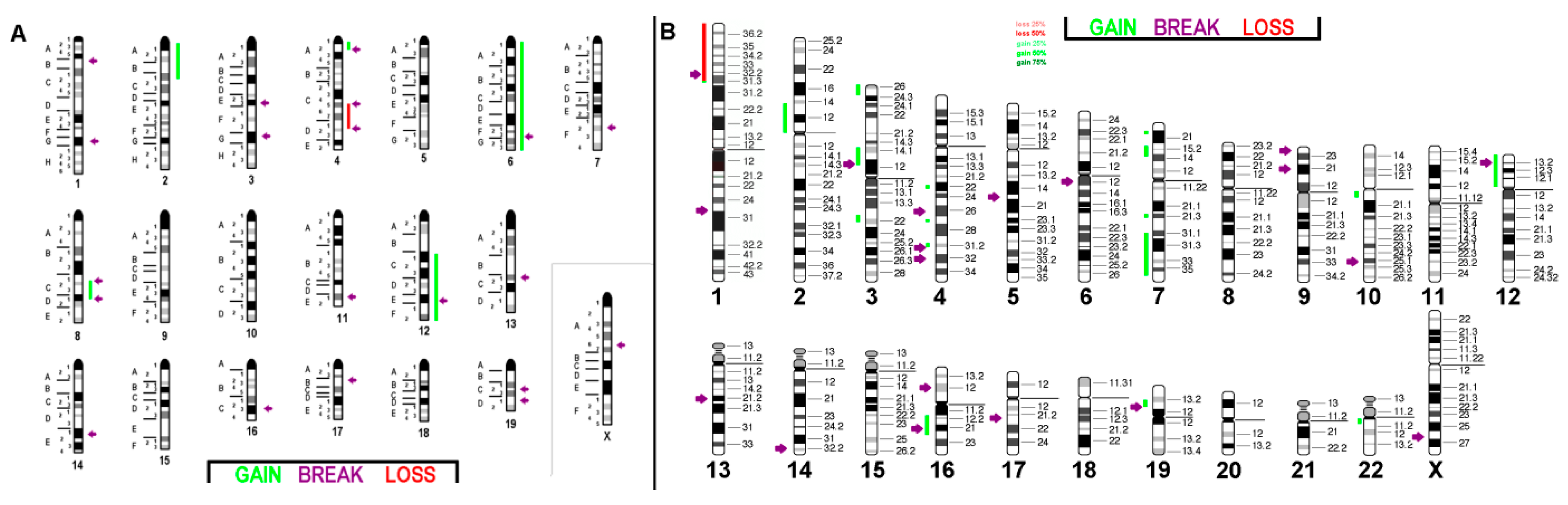 Ijms 21 04716 g006 Ijms 21 04716 g006