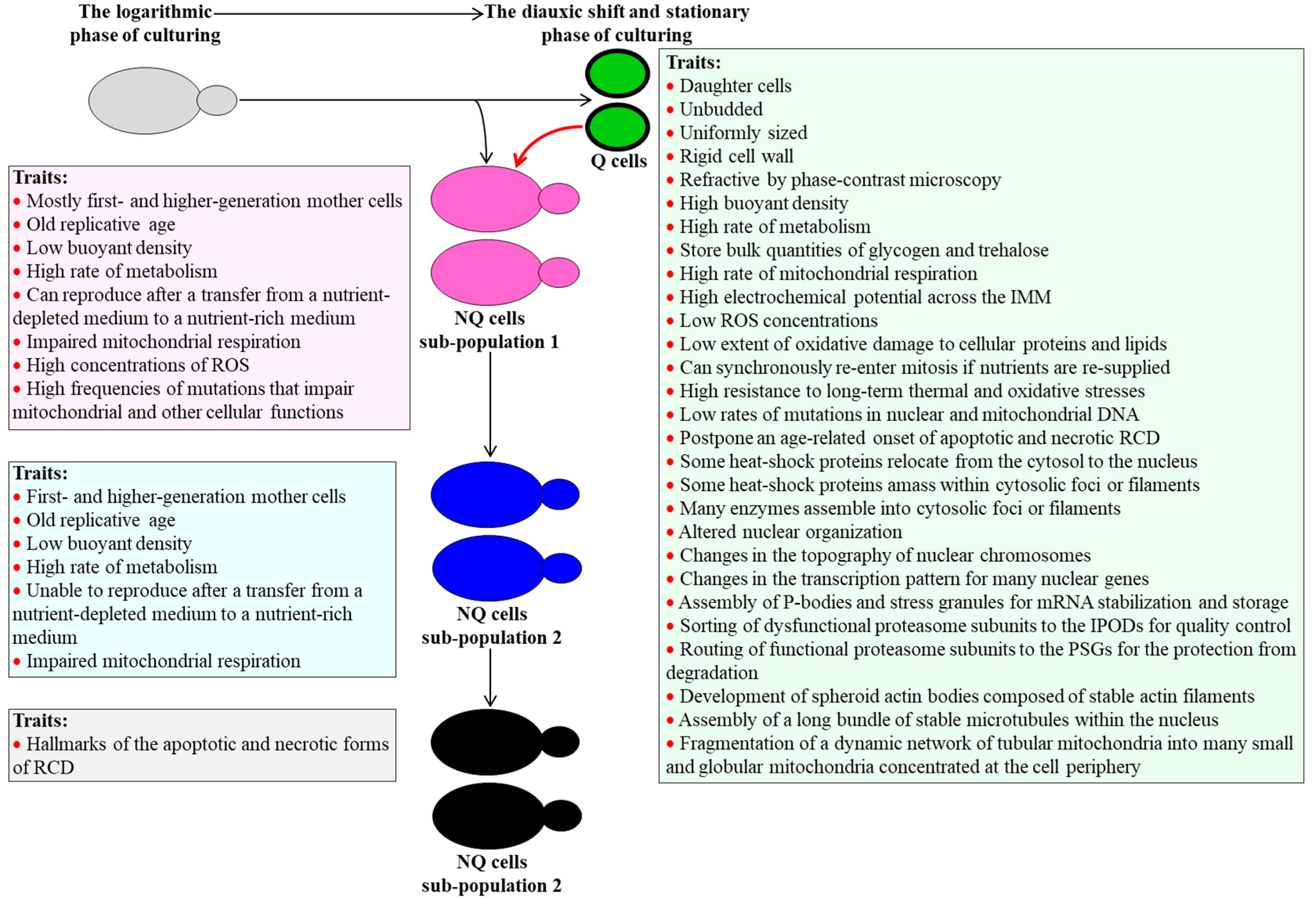 Ijms 21 04717 g001 Ijms 21 04717 g001