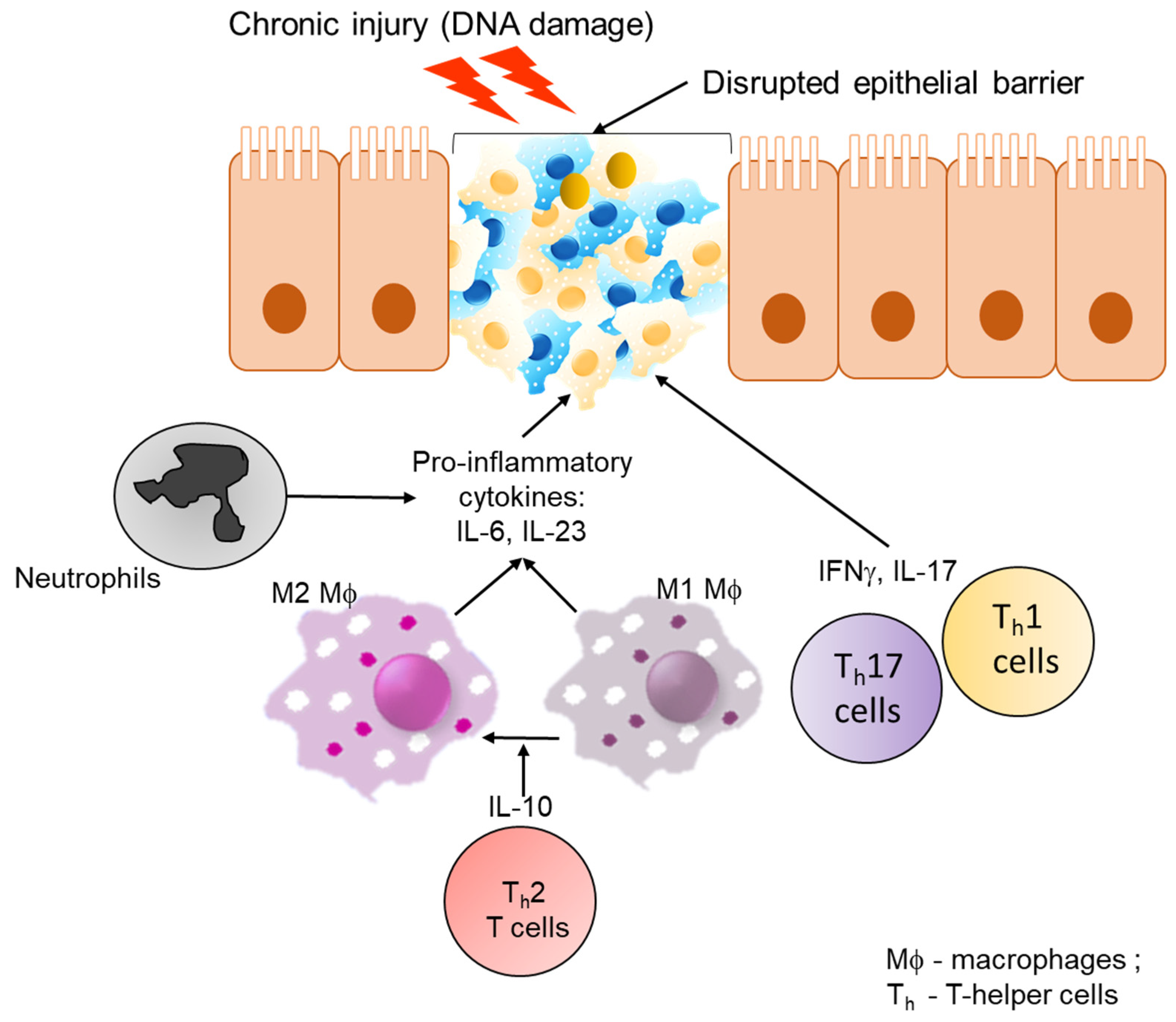 Ijms 21 04748 g003 Ijms 21 04748 g003