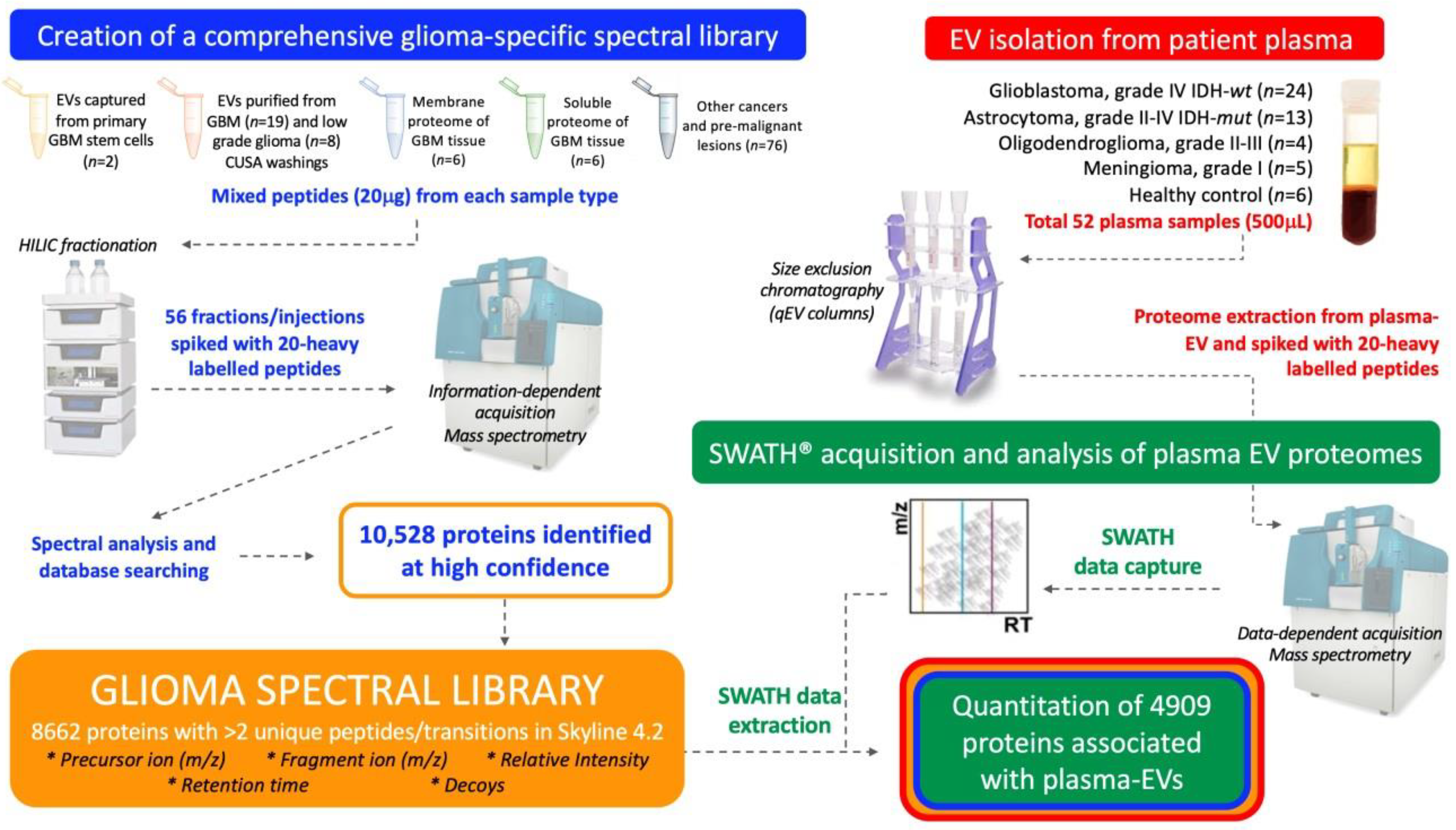 Ijms 21 04754 g001 Ijms 21 04754 g001