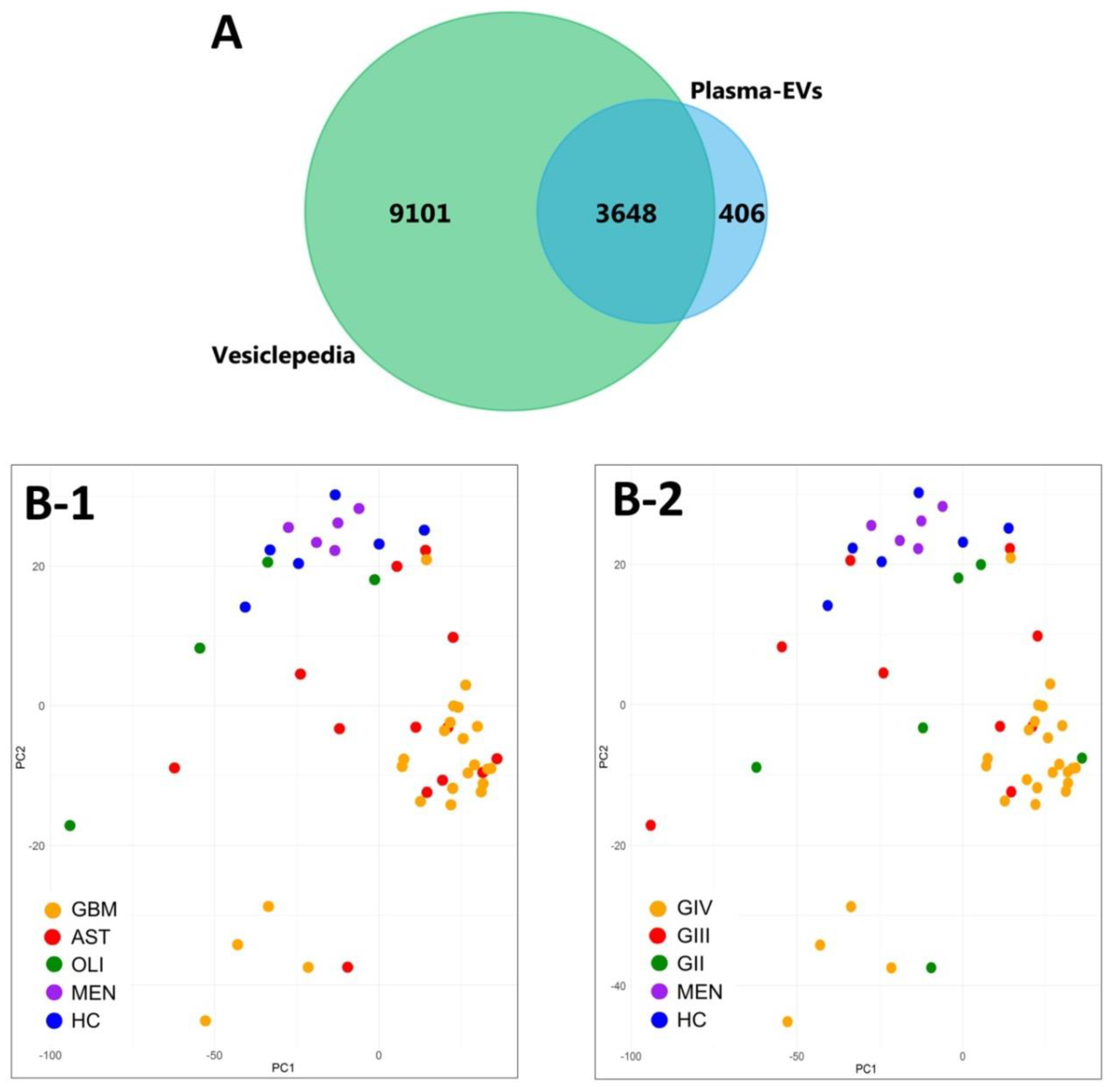 Ijms 21 04754 g003 Ijms 21 04754 g003