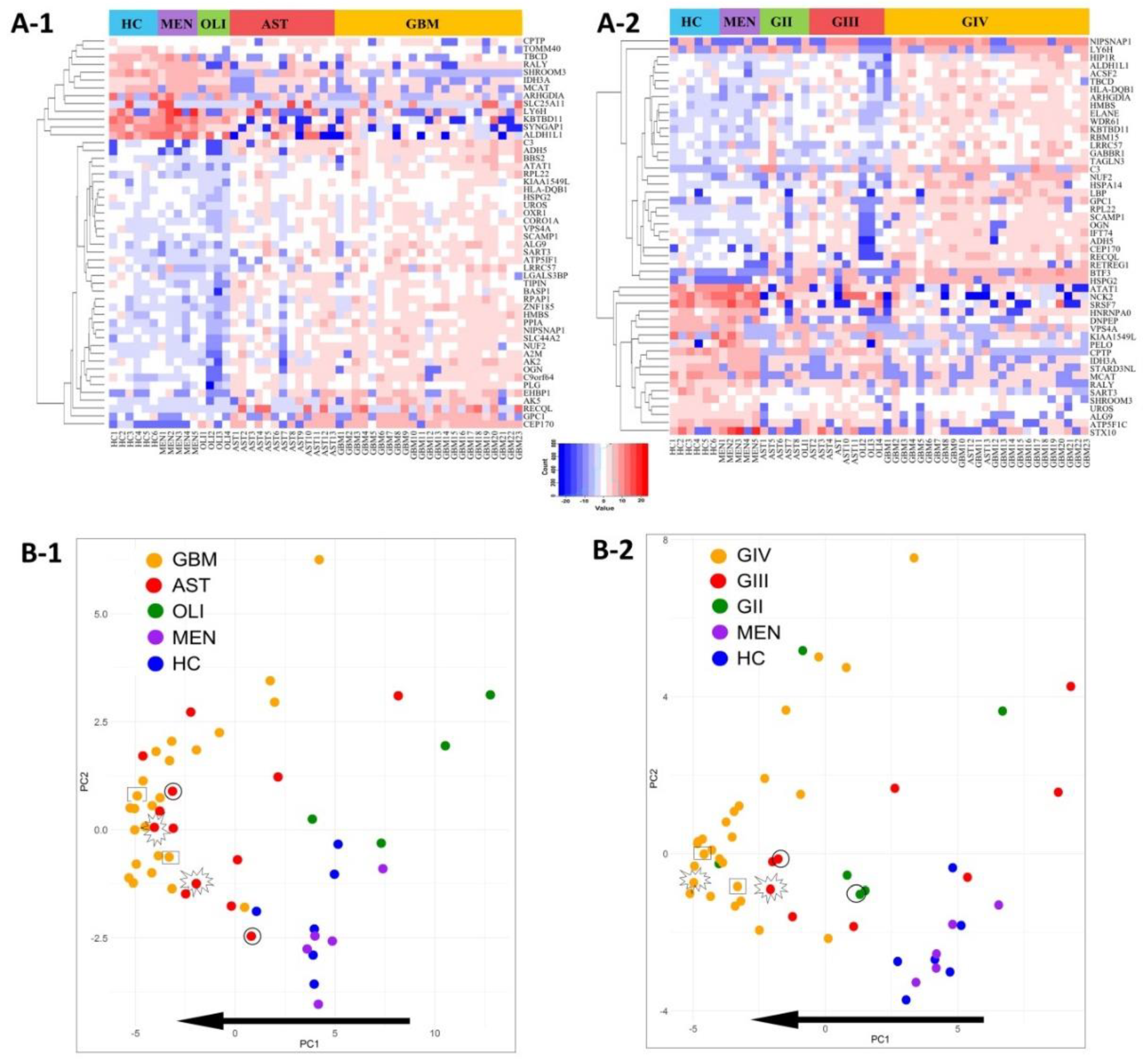 Ijms 21 04754 g004 Ijms 21 04754 g004