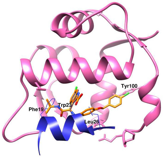 IJMS | Free Full-Text | Absolute Binding Free Energy Calculations for  Highly Flexible Protein MDM2 and Its Inhibitors