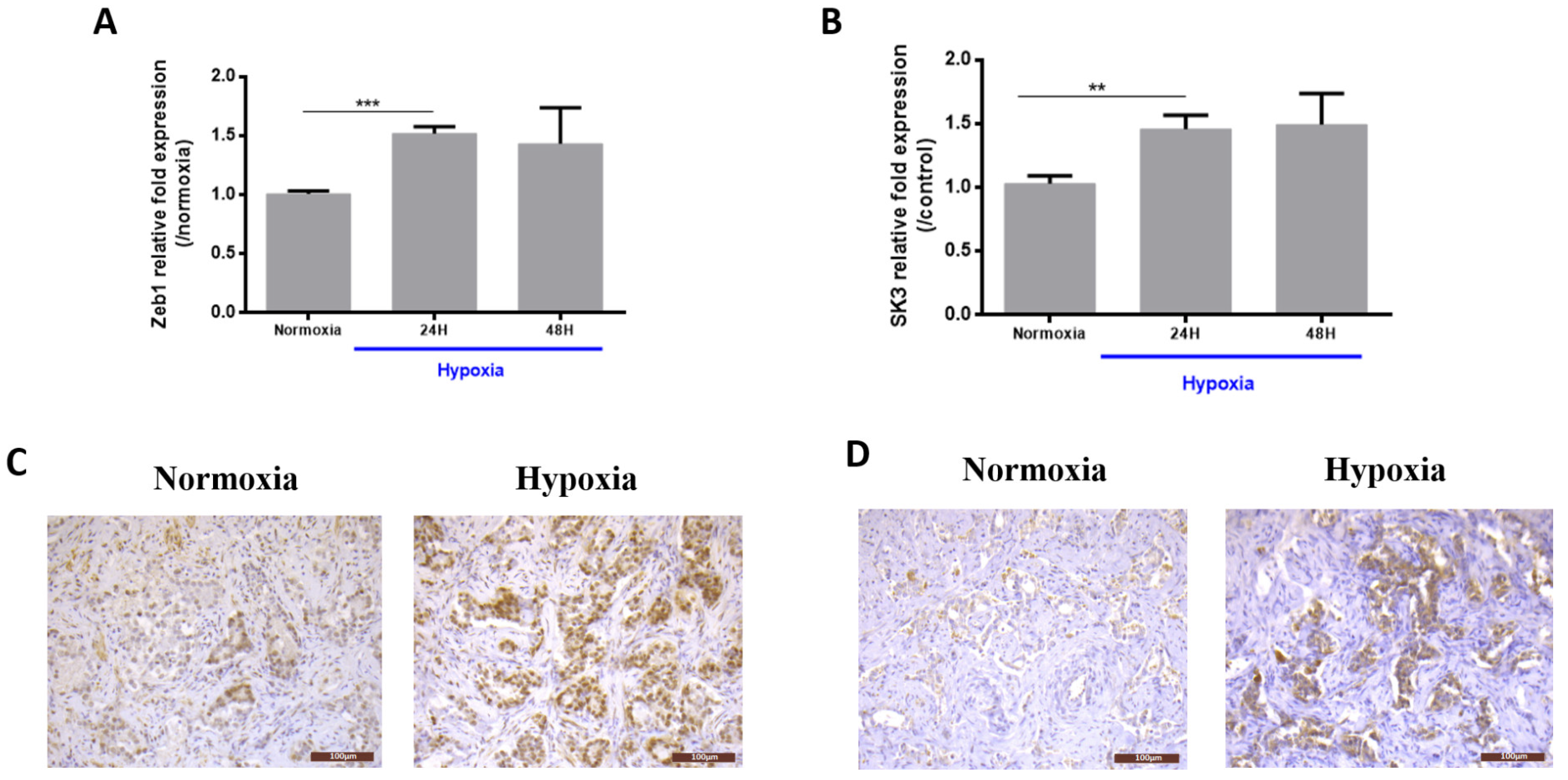 Ijms 21 04786 g001 Ijms 21 04786 g001