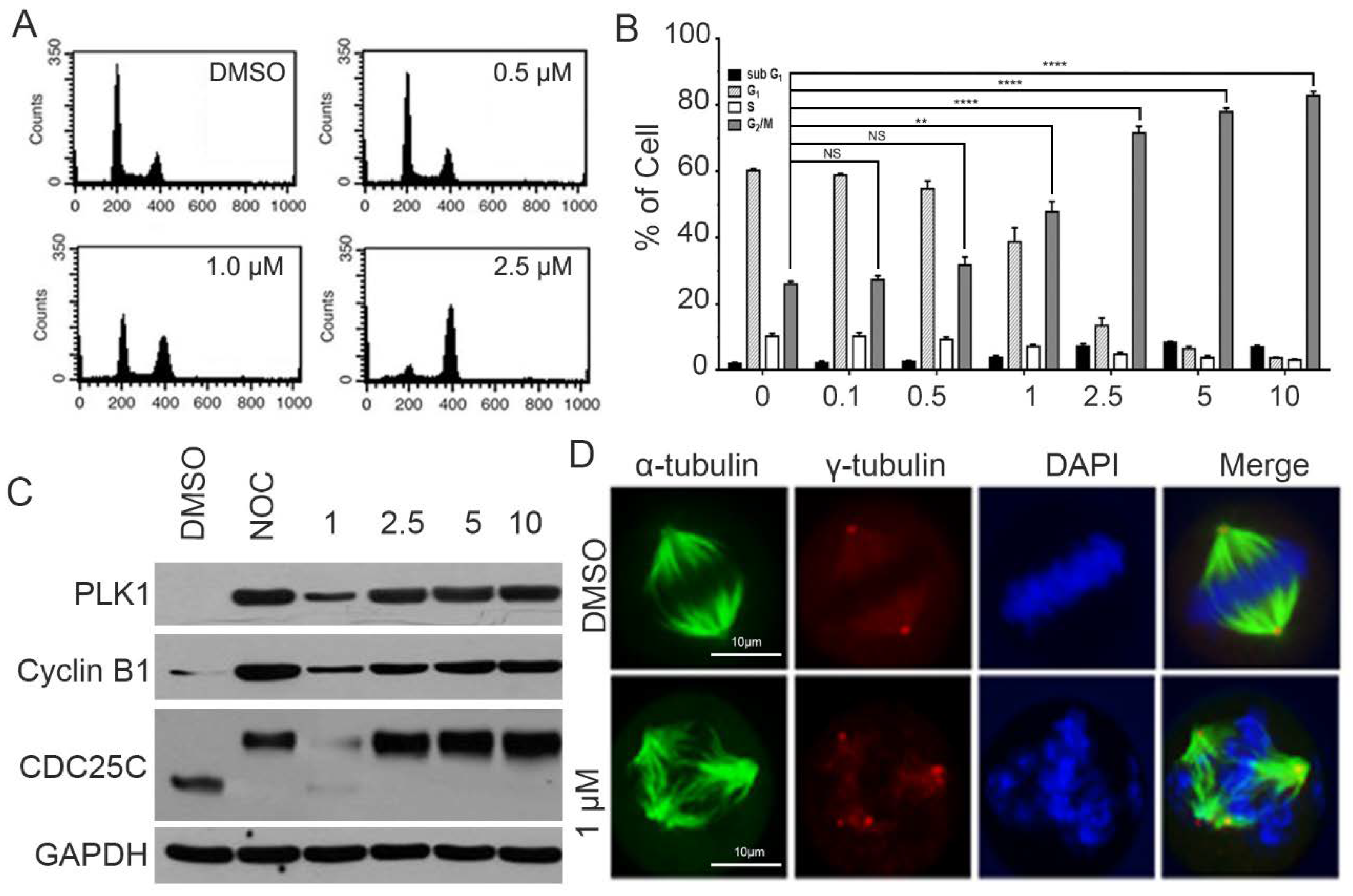 Ijms 21 04800 g003 Ijms 21 04800 g003
