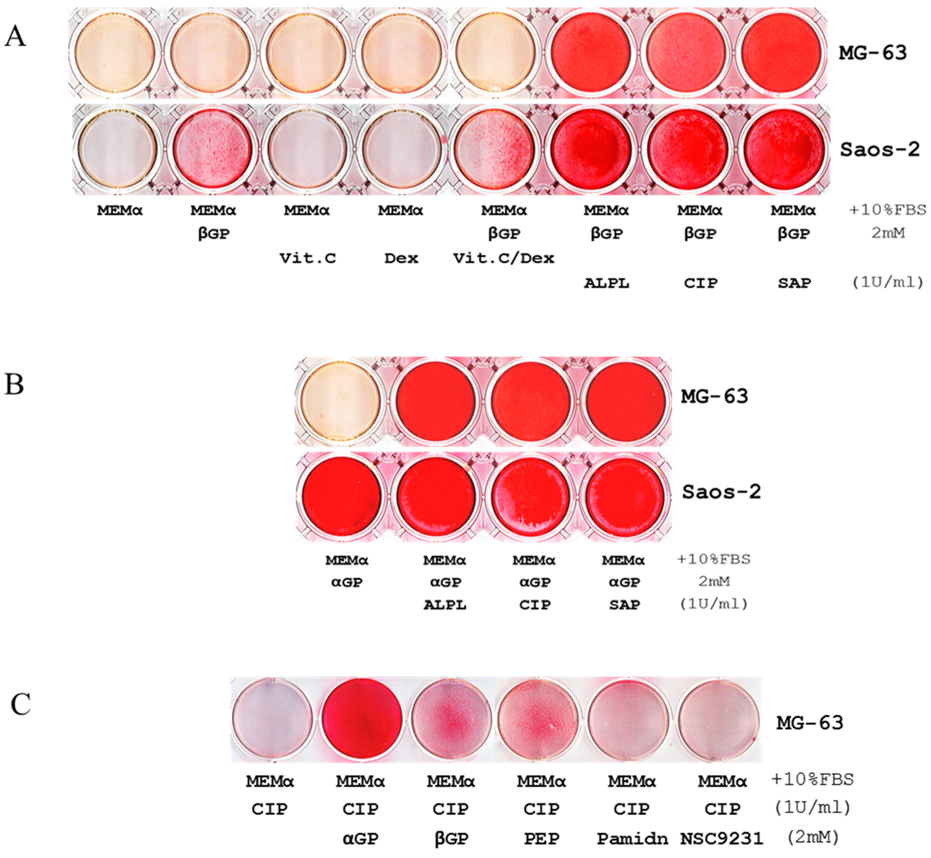 Ijms 21 04820 g001a Ijms 21 04820 g001a