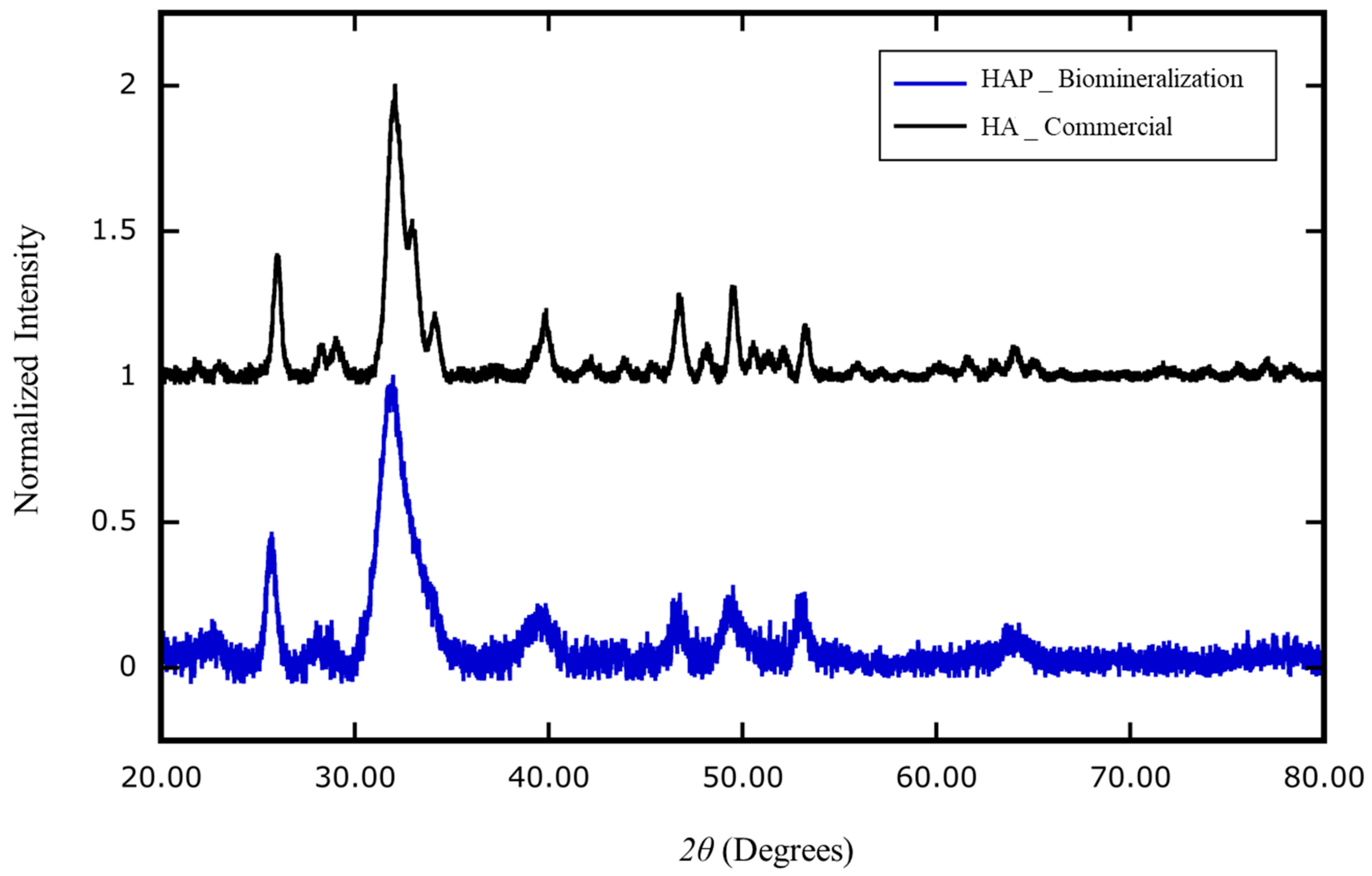 Ijms 21 04820 g006 Ijms 21 04820 g006