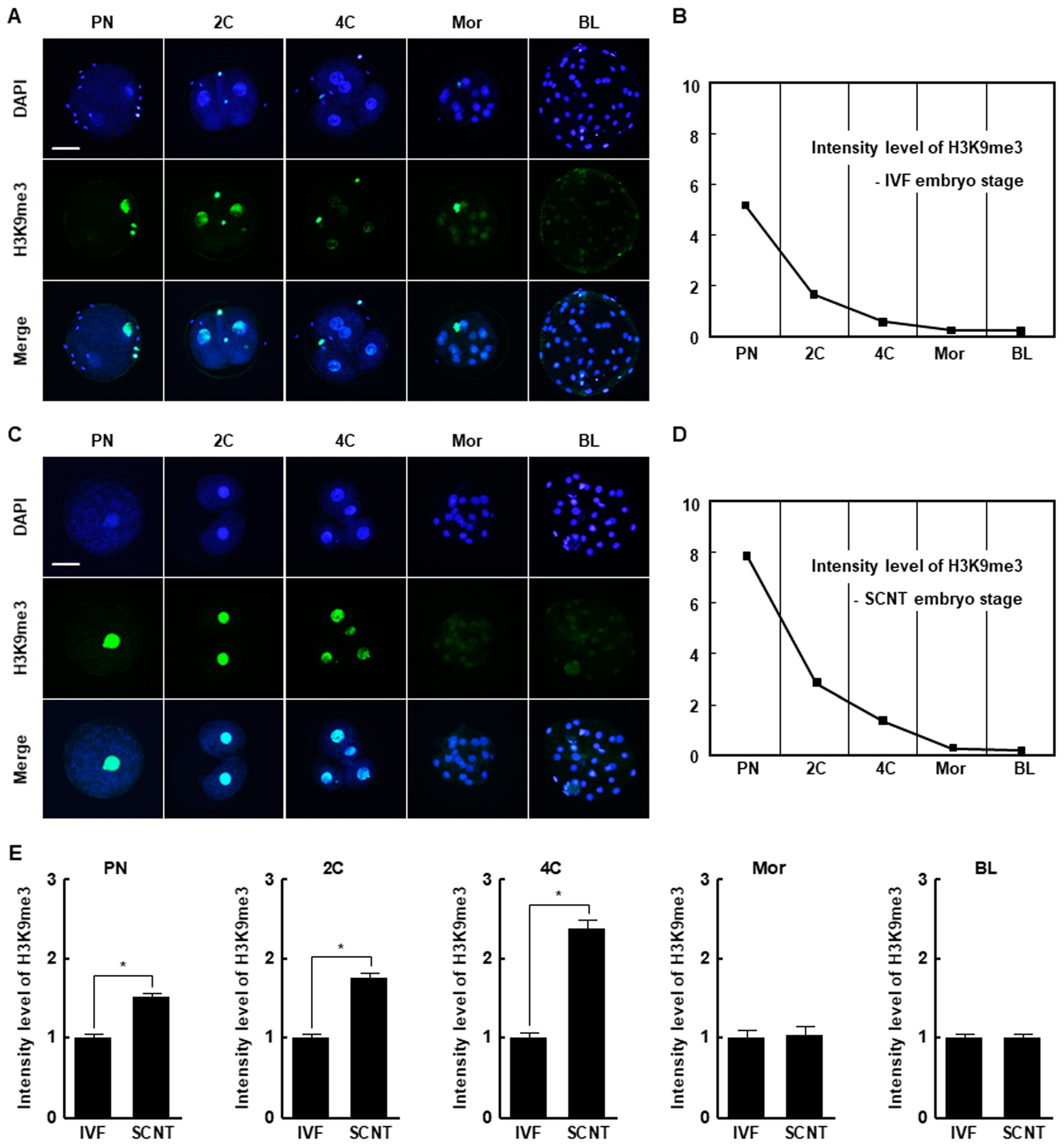 Ijms 21 04836 g001 Ijms 21 04836 g001