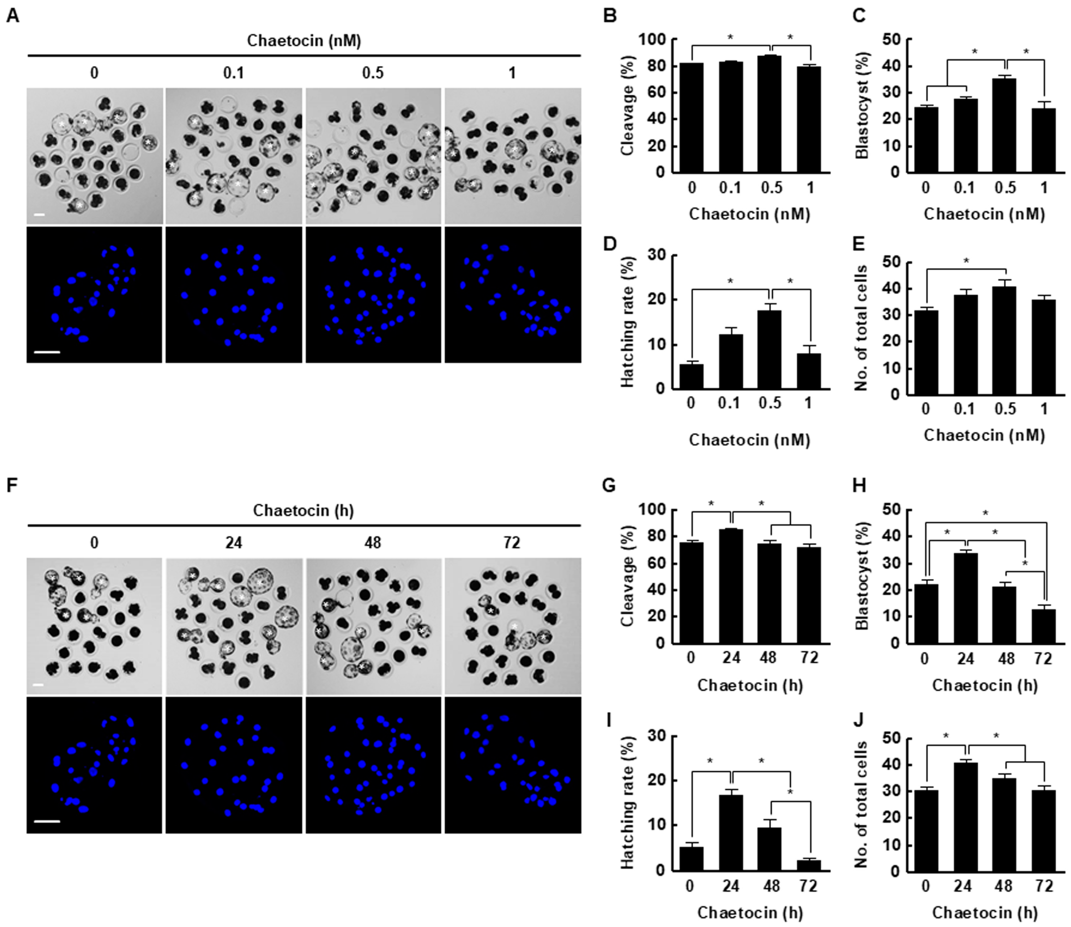 Ijms 21 04836 g003 Ijms 21 04836 g003