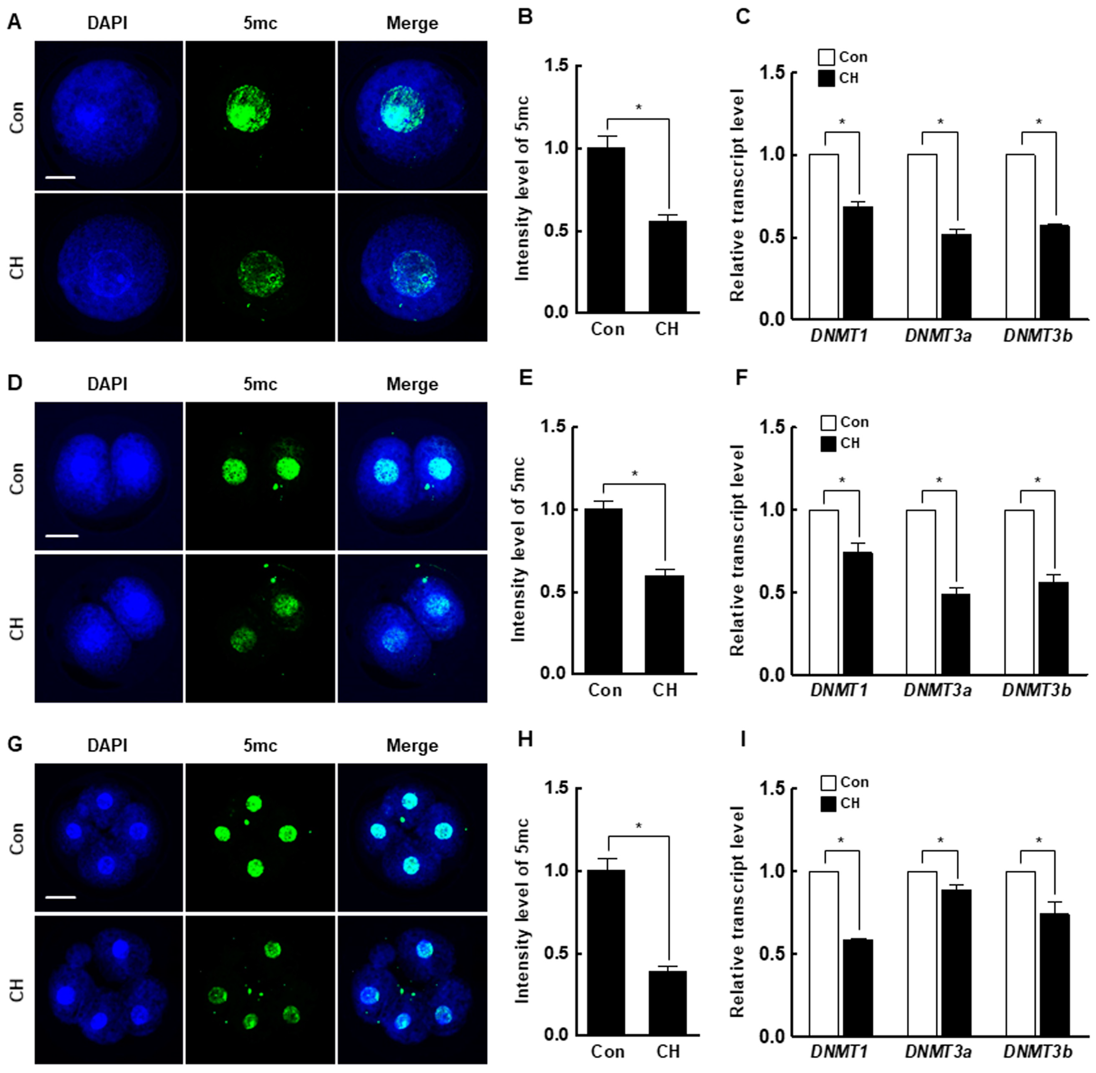 Ijms 21 04836 g006 Ijms 21 04836 g006