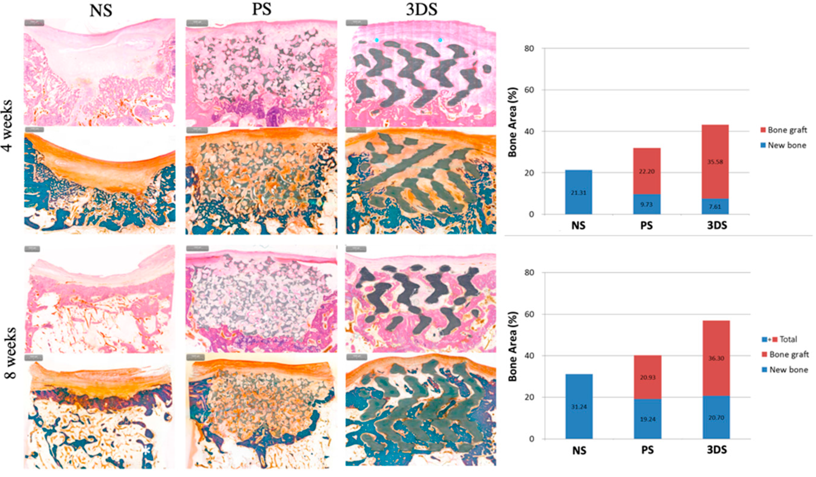 Ijms 21 04837 g005 Ijms 21 04837 g005