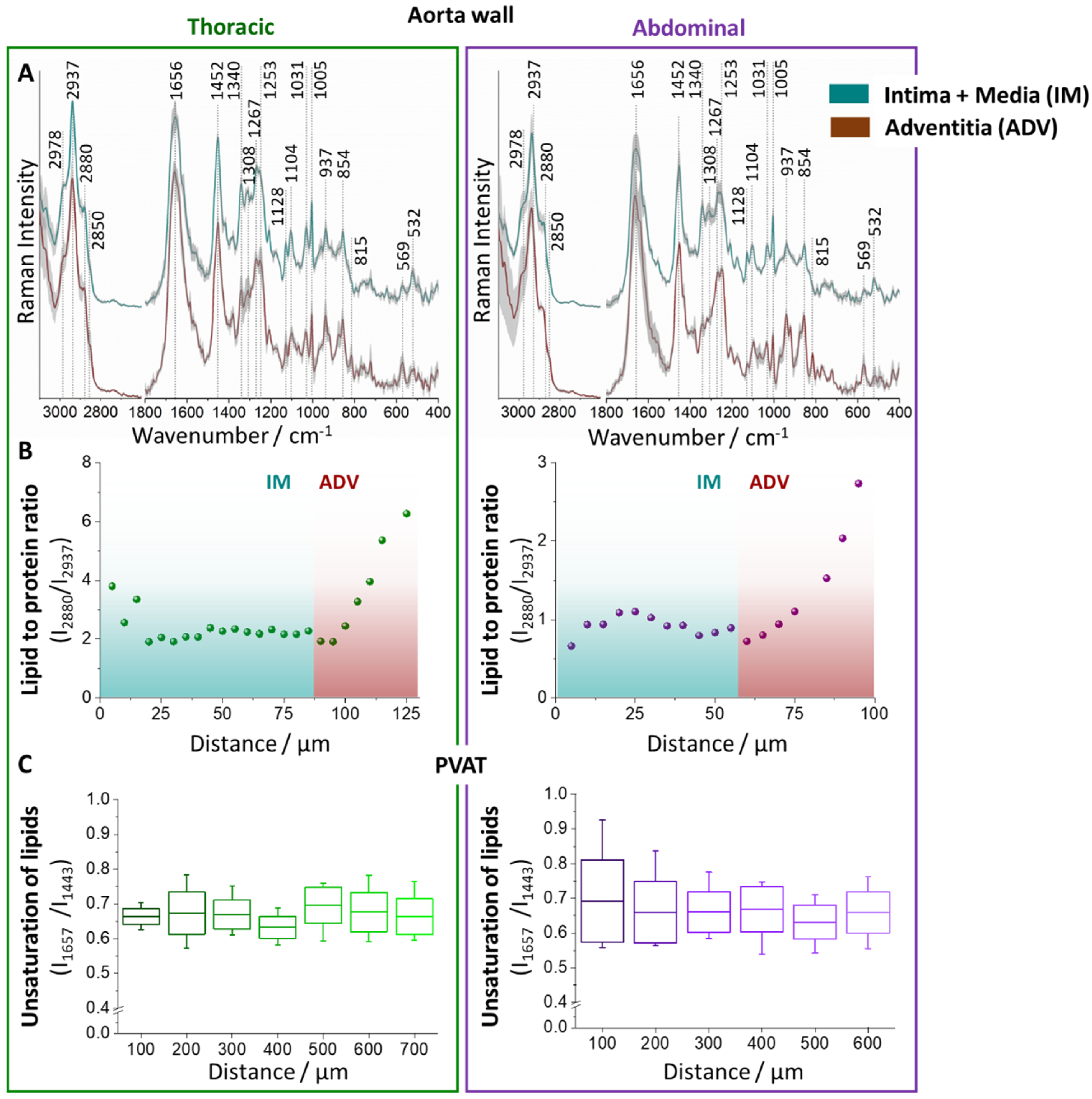 Ijms 21 04838 g002 Ijms 21 04838 g002