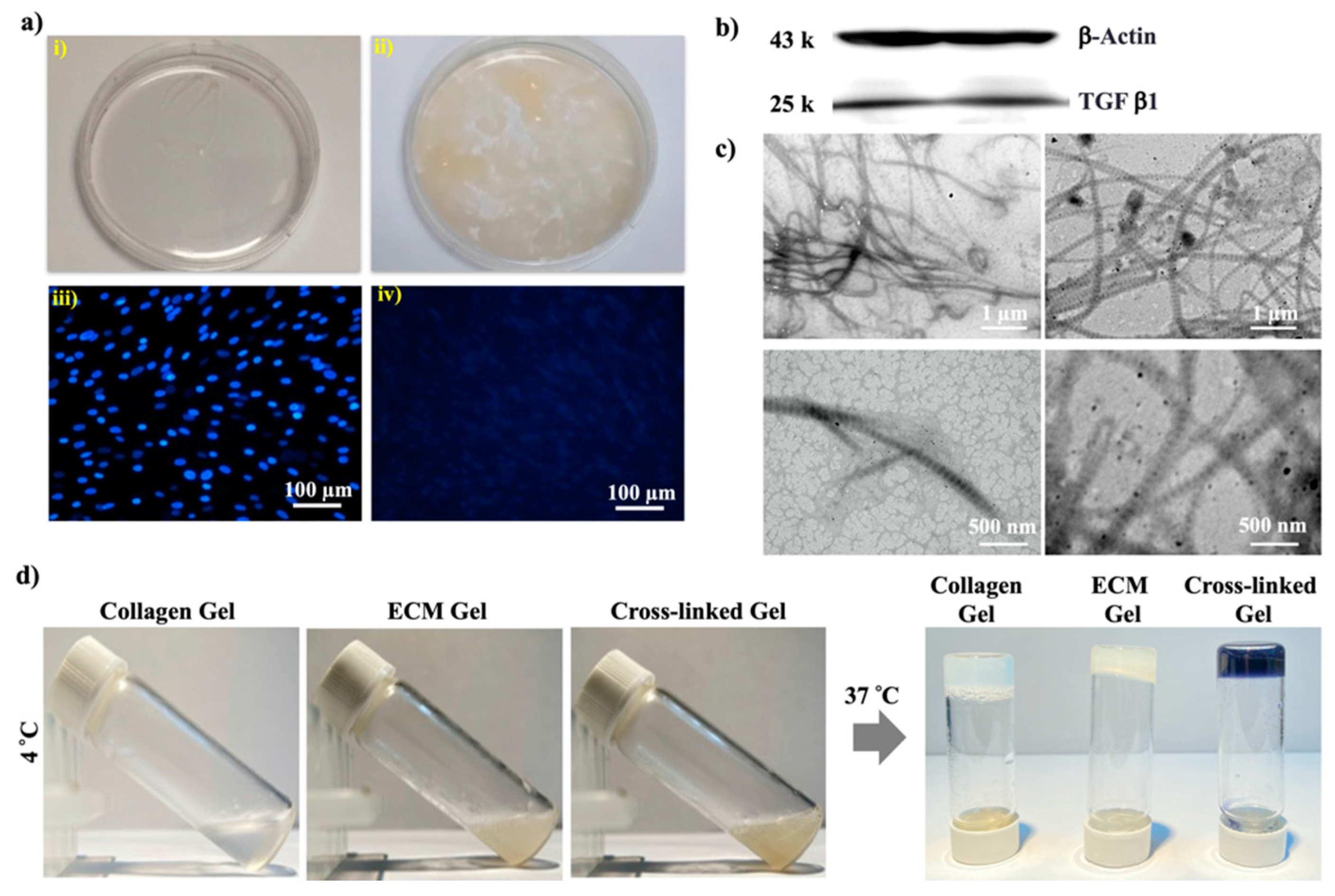 Ijms 21 04864 g002 Ijms 21 04864 g002