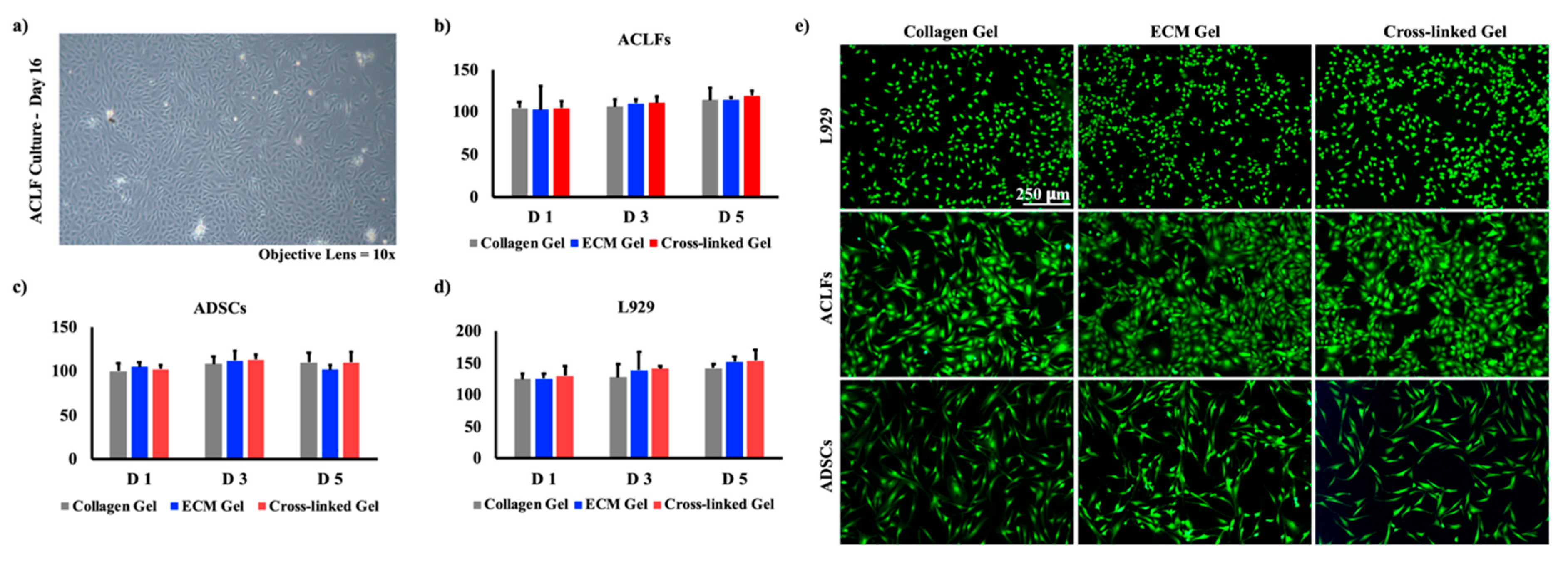 Ijms 21 04864 g005 Ijms 21 04864 g005