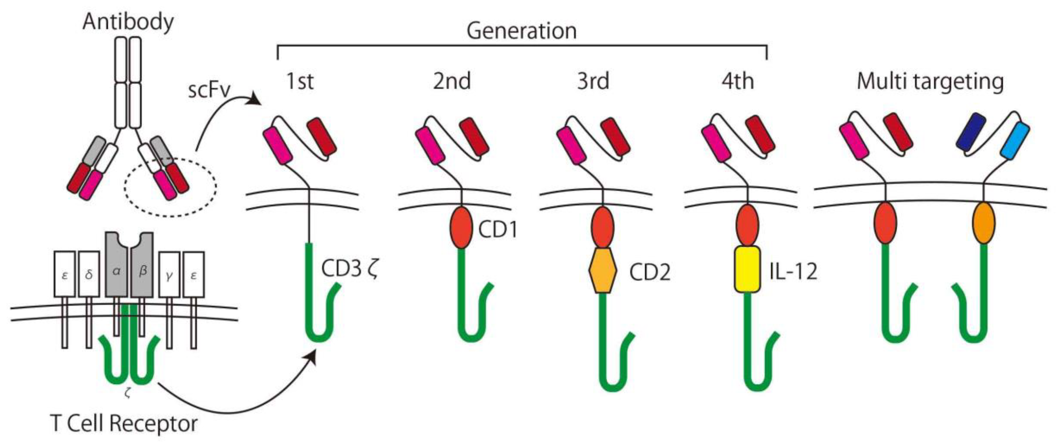 Ijms 21 04877 g003 Ijms 21 04877 g003