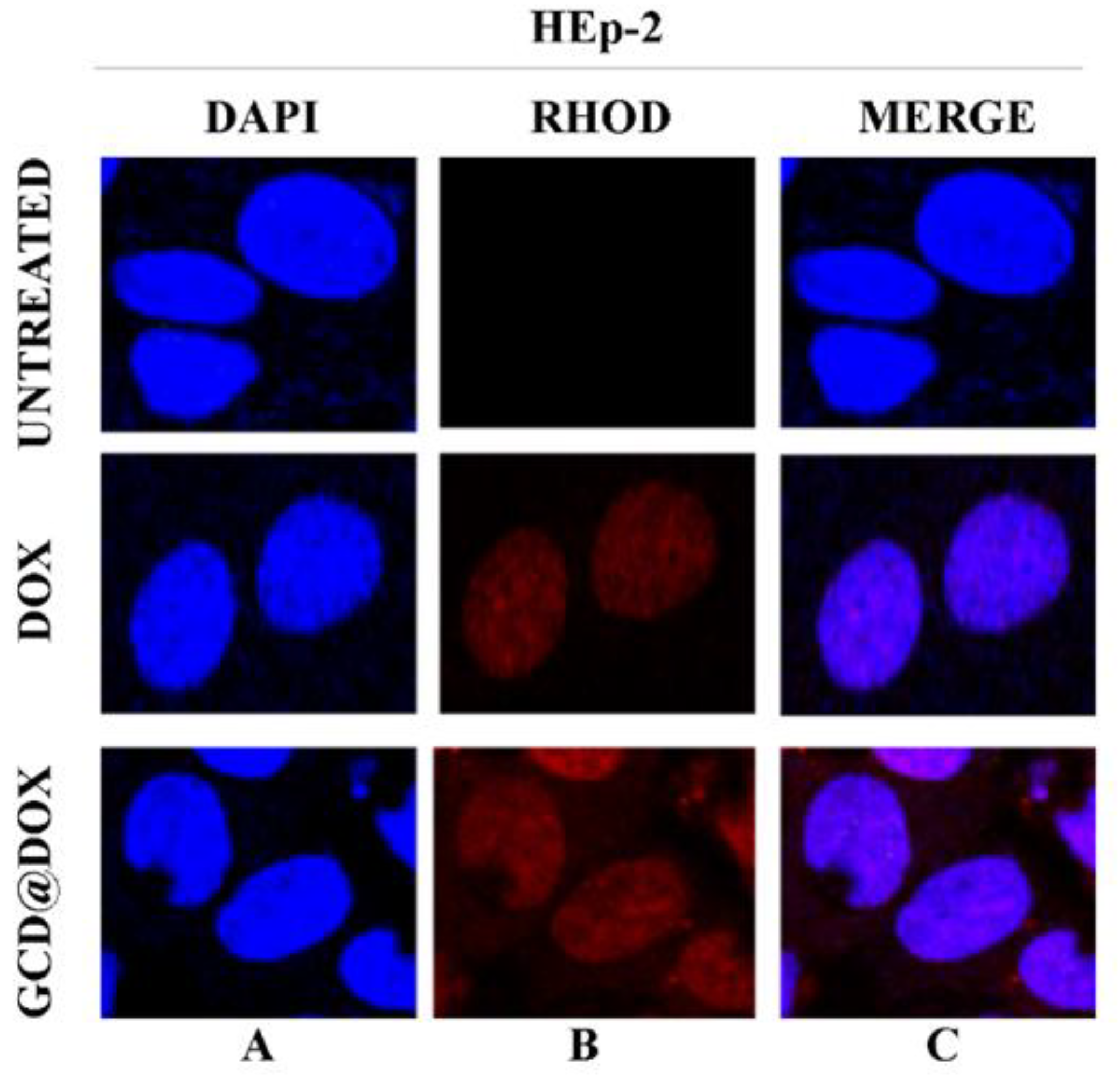 Ijms 21 04891 g005 Ijms 21 04891 g005