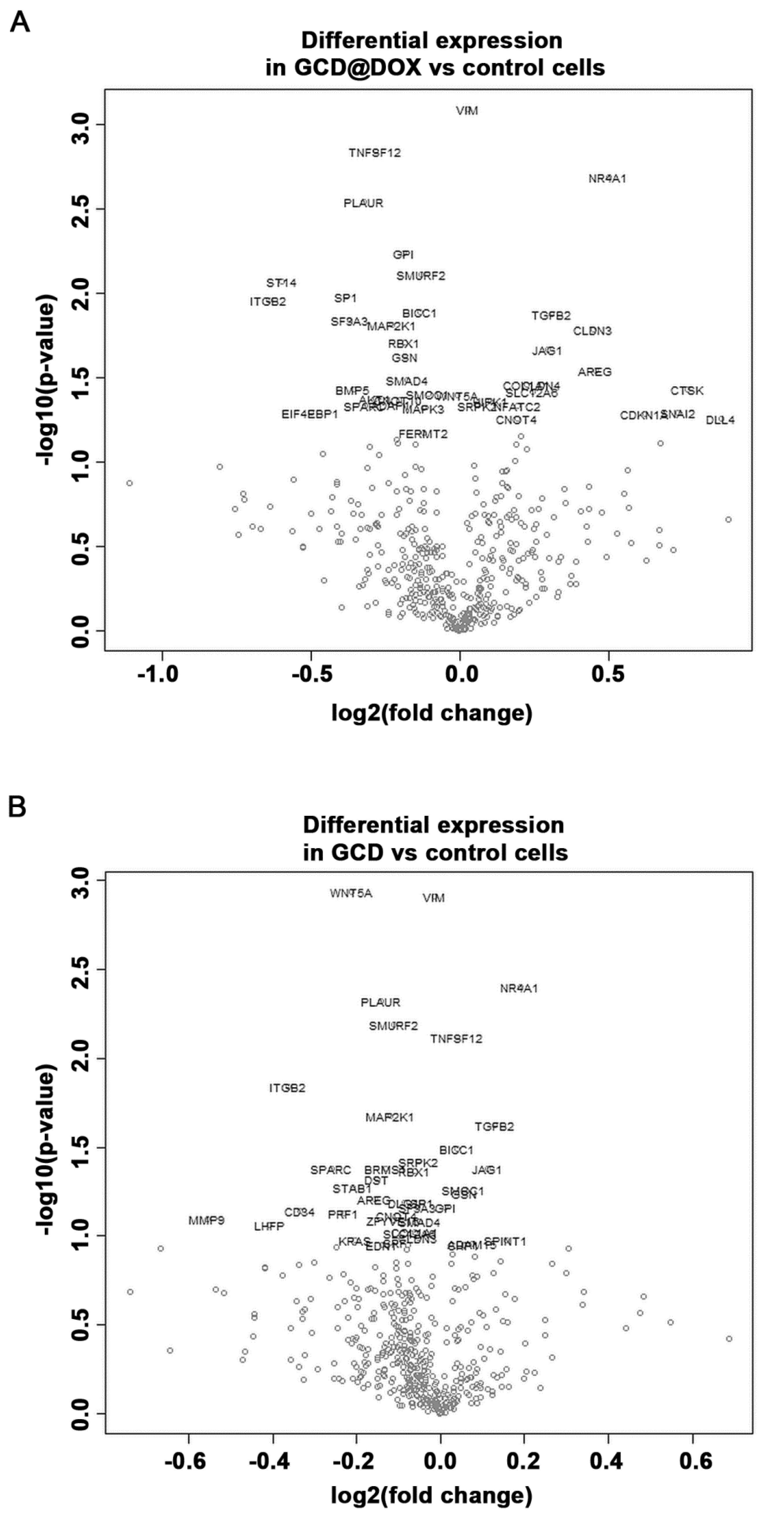 Ijms 21 04891 g007 Ijms 21 04891 g007