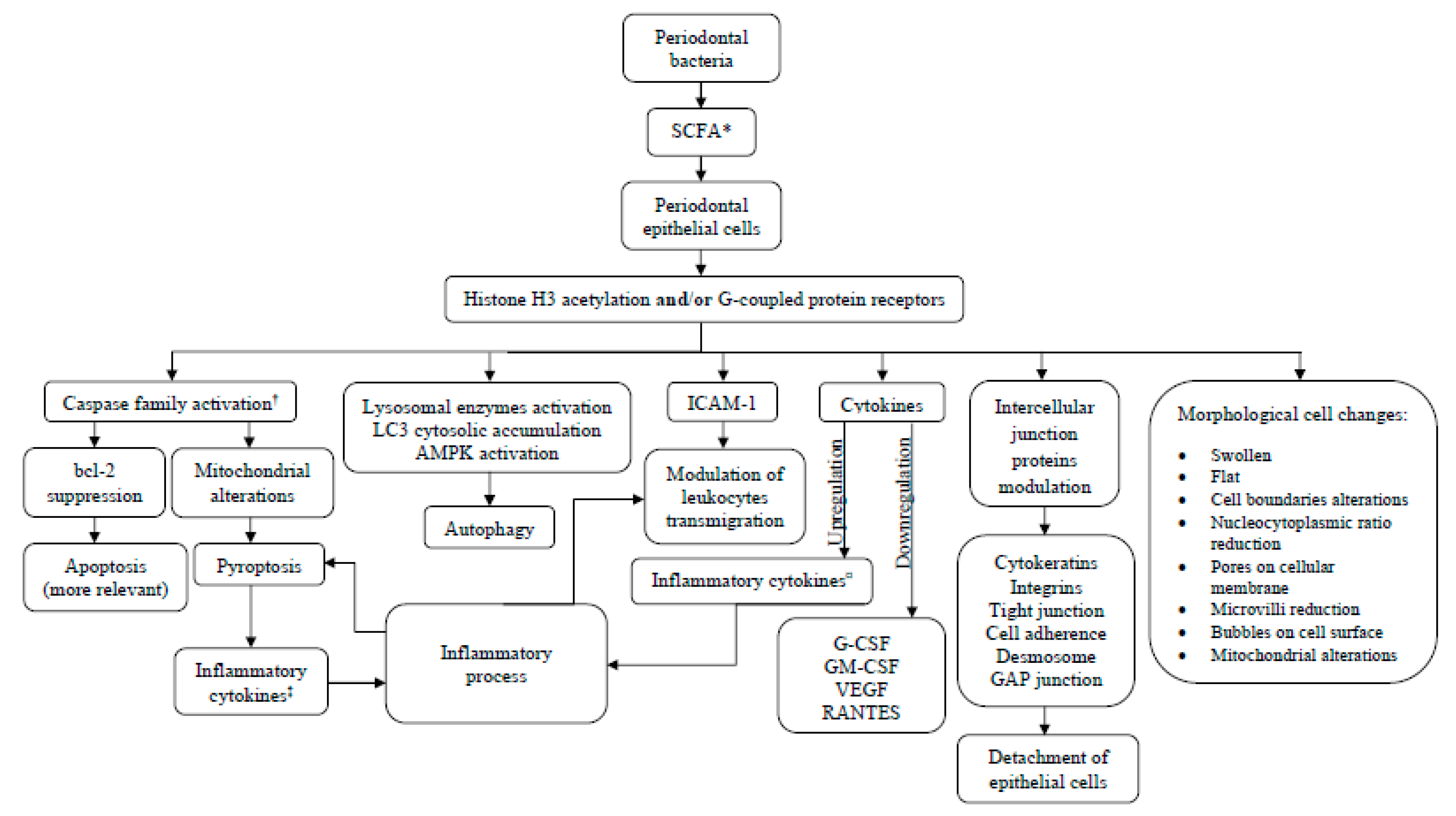 Ijms 21 04895 g002 Ijms 21 04895 g002
