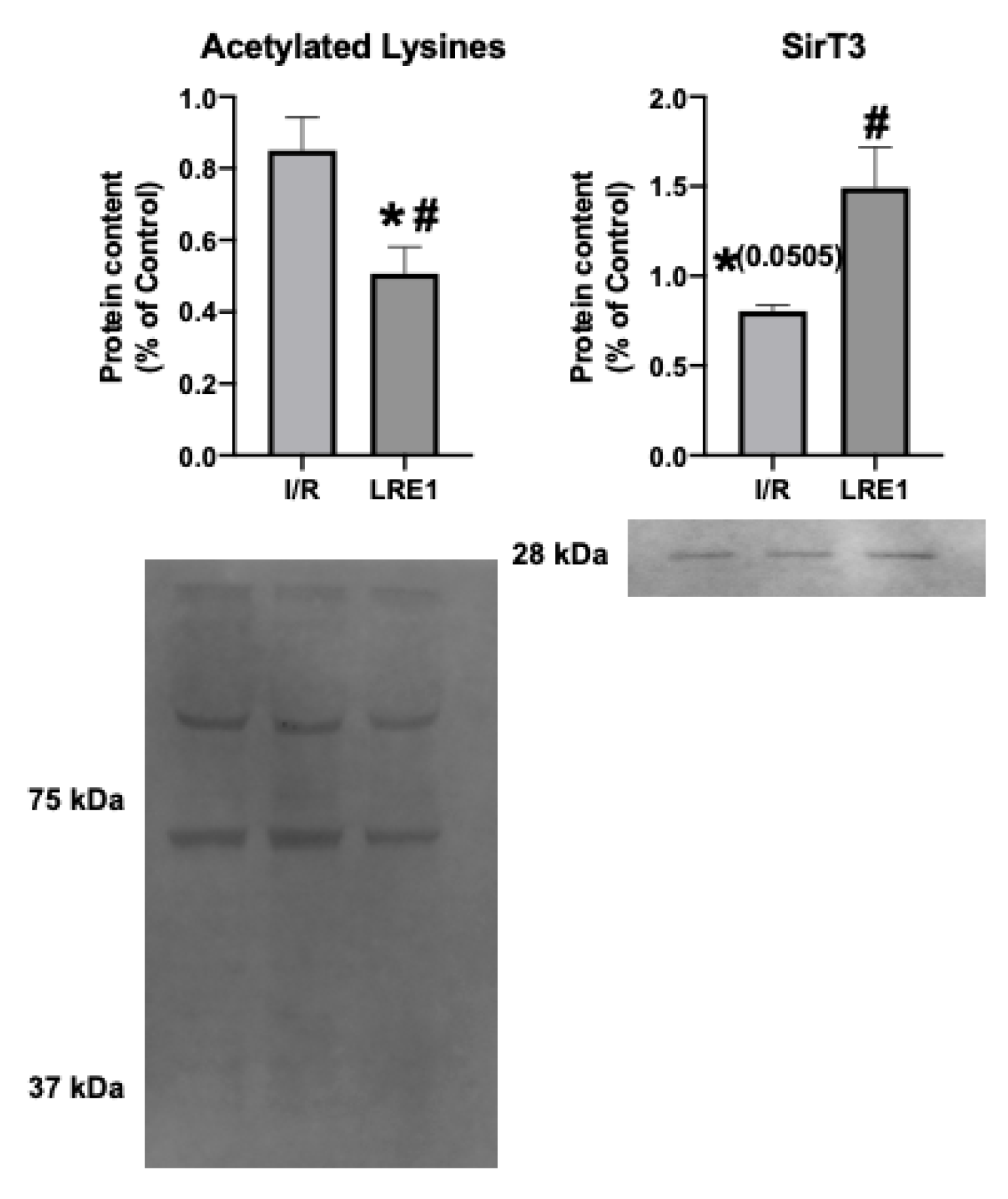 Ijms 21 04896 g008 Ijms 21 04896 g008