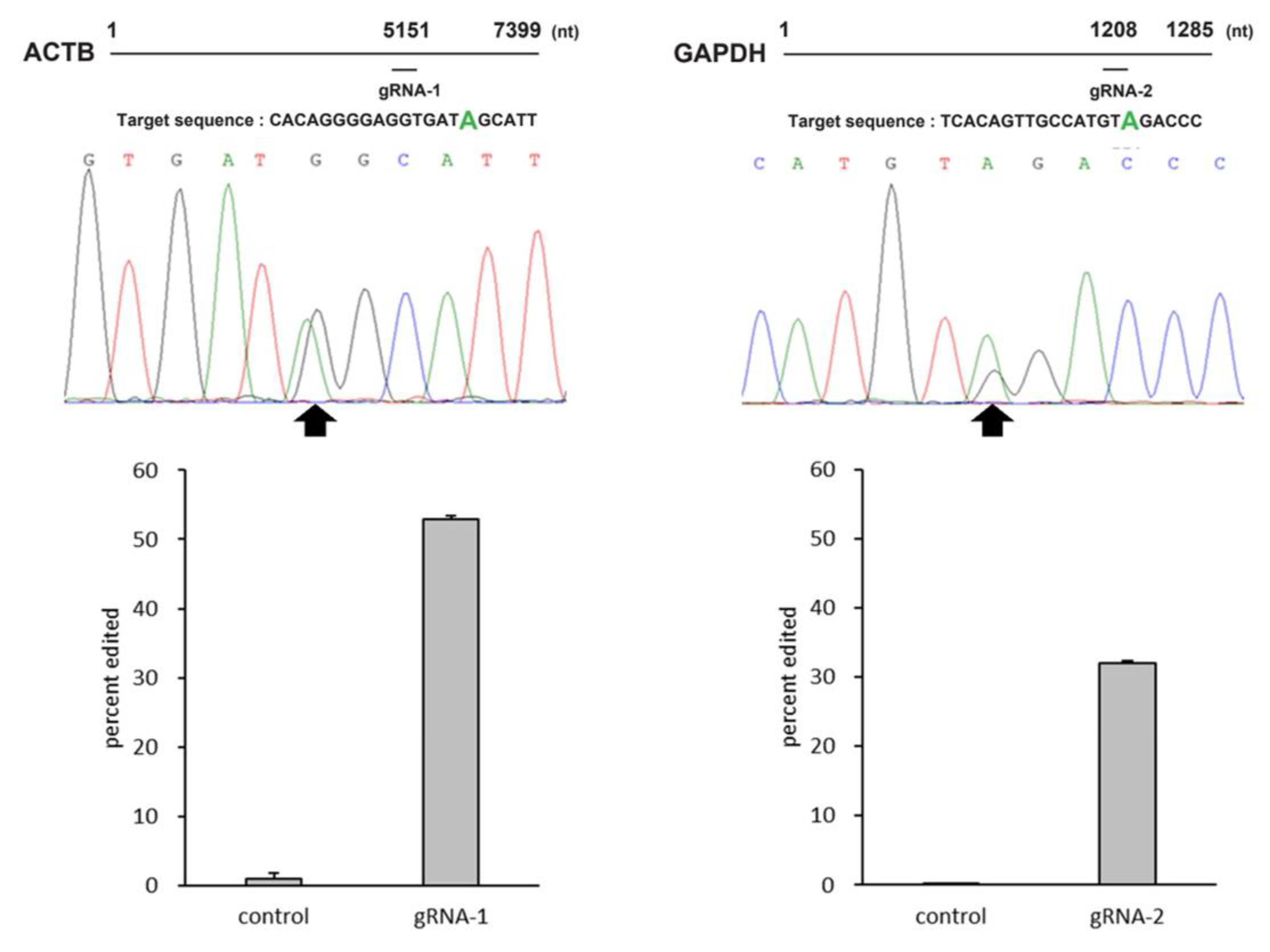Ijms 21 04943 g004 Ijms 21 04943 g004