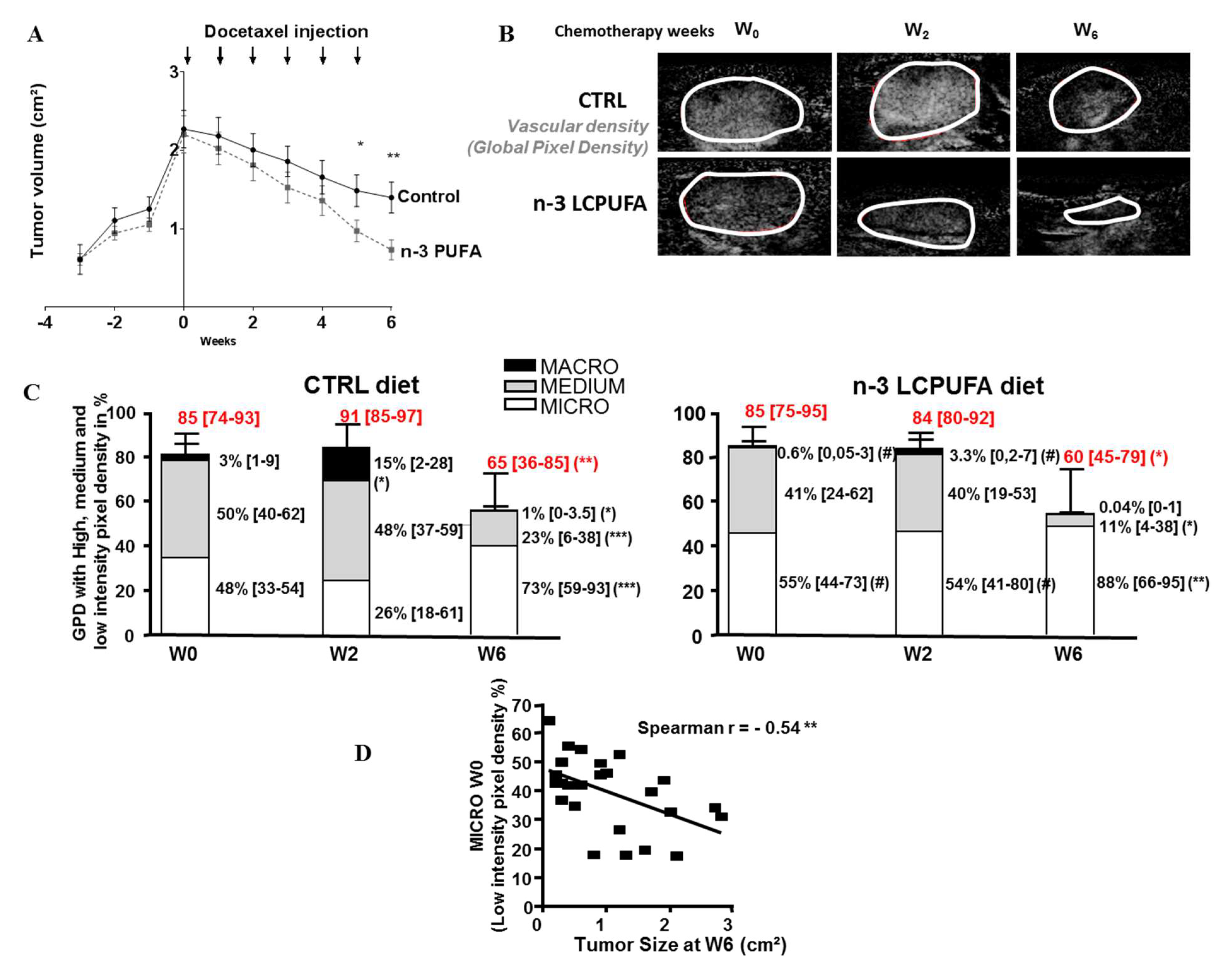 Ijms 21 04965 g002 Ijms 21 04965 g002