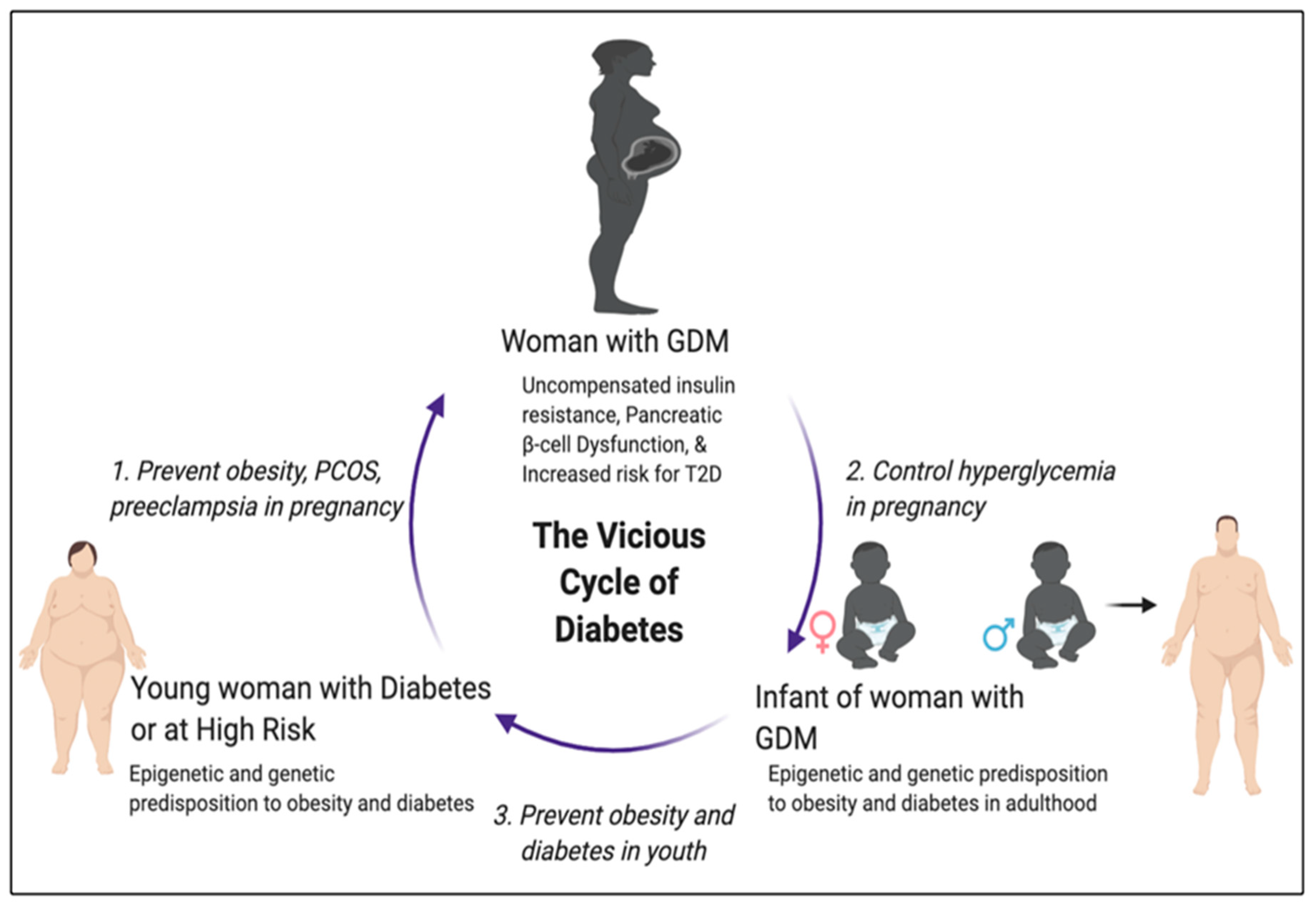Chronic hyperglycemia during pregnancy