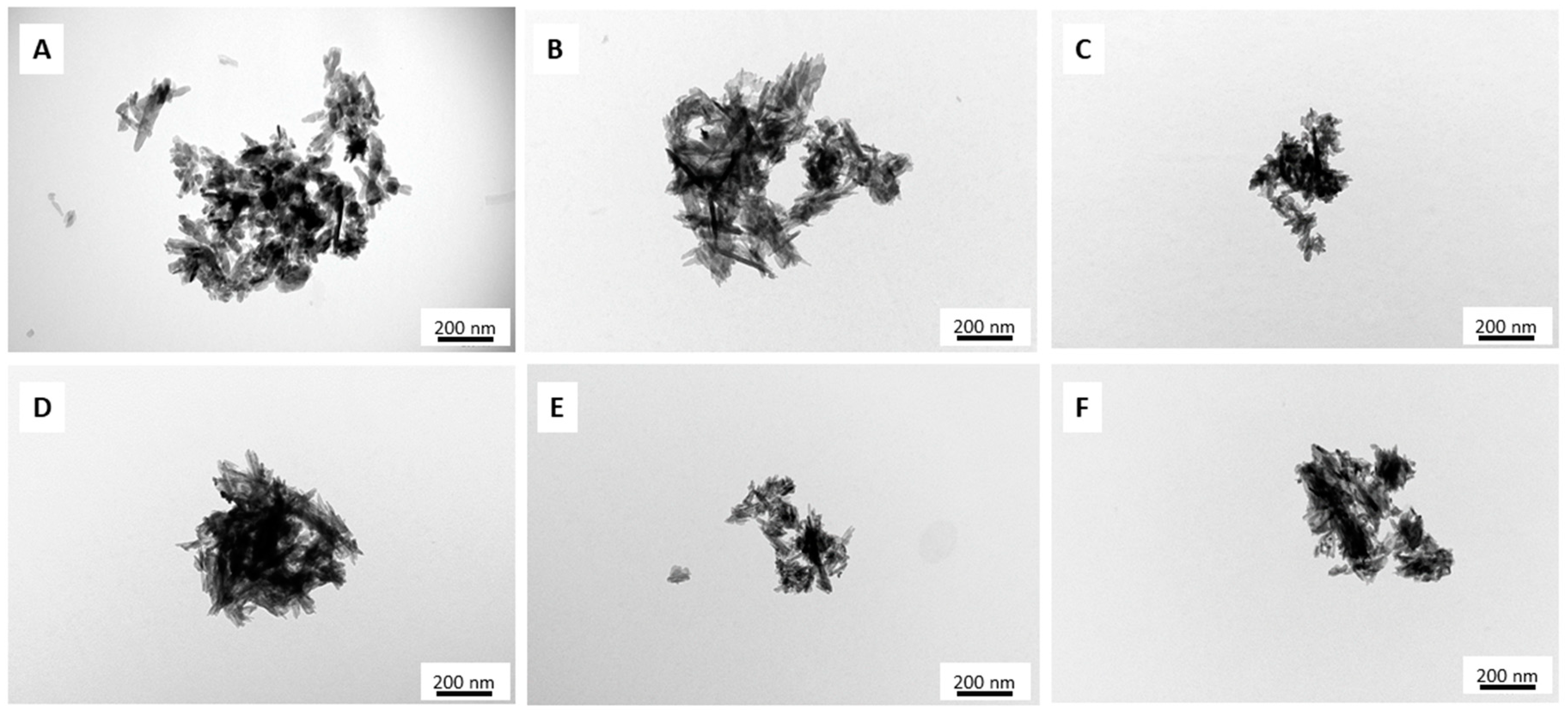 Ijms 21 05006 g001 Ijms 21 05006 g001