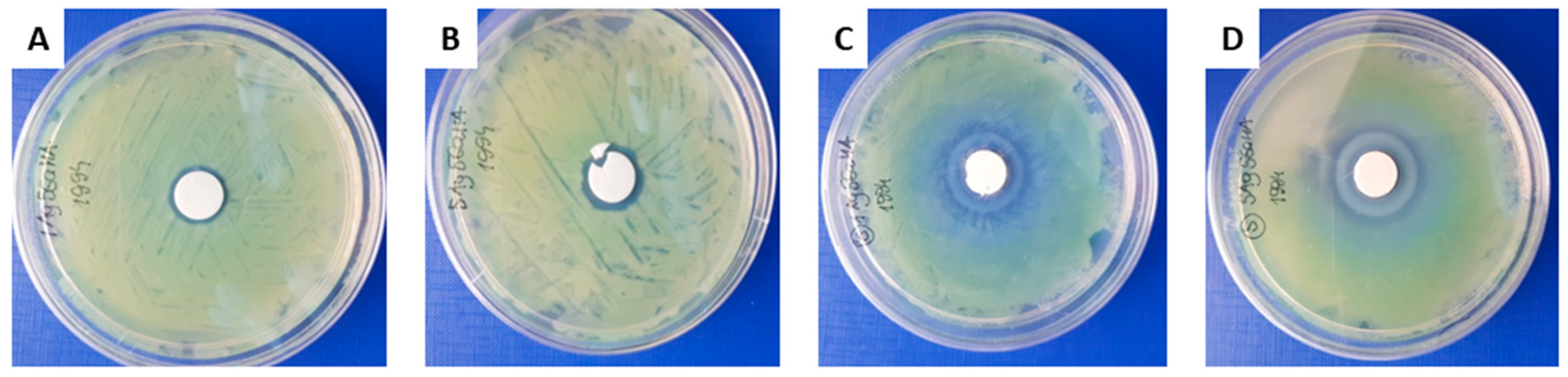 Ijms 21 05006 g006 Ijms 21 05006 g006