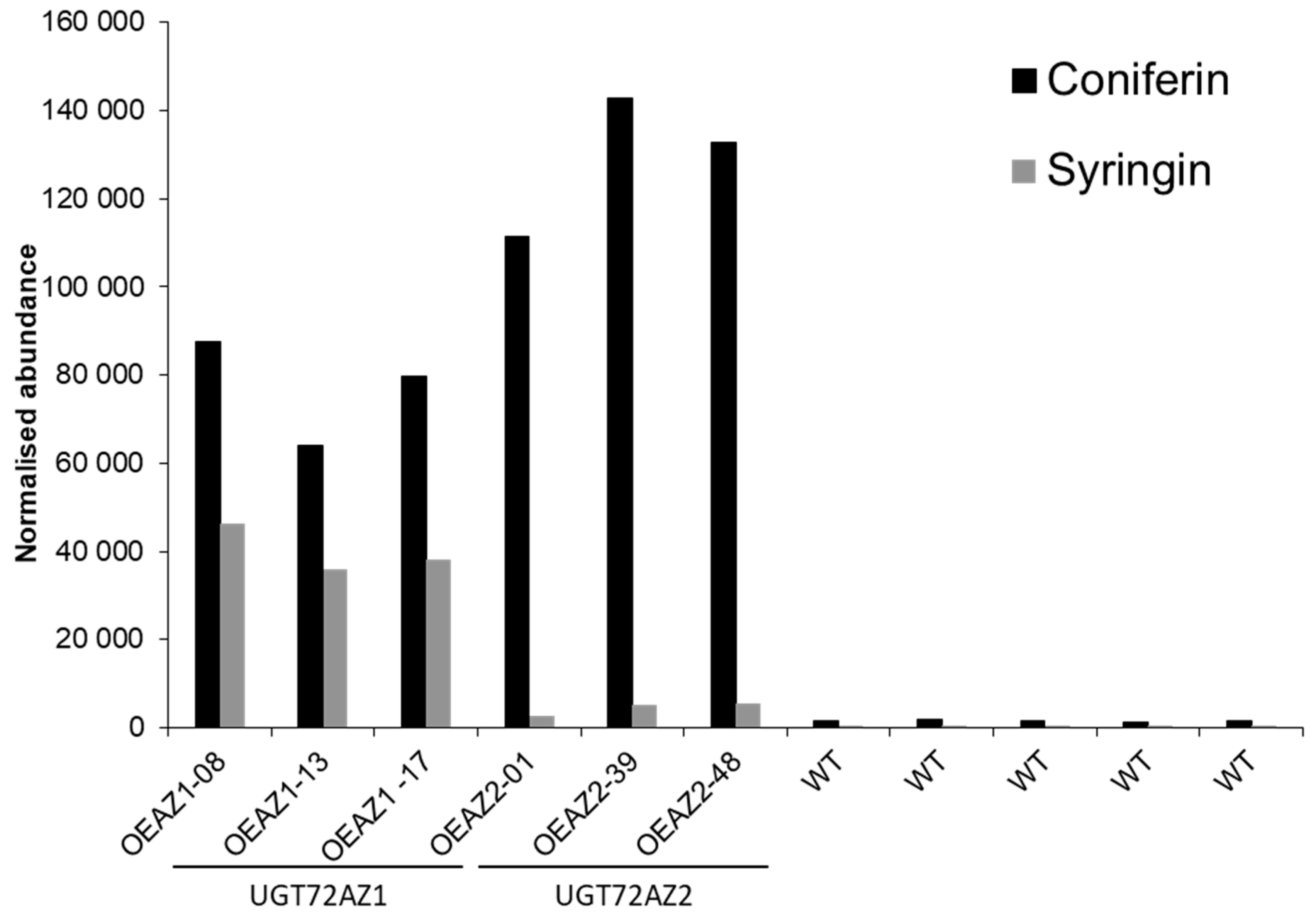 https://www.mdpi.com/ijms/ijms-21-05018/article_deploy/html/images/ijms-21-05018-g004.png