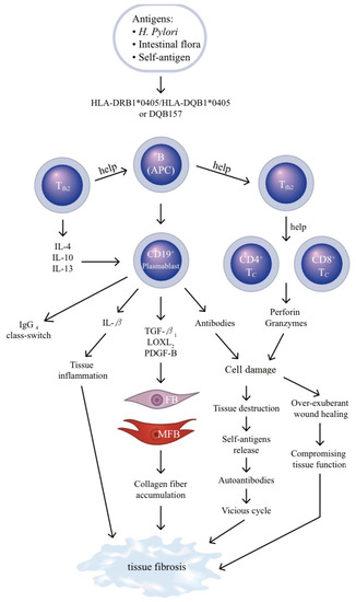 Altered Fc galactosylation in IgG4 is a potential serum marker for