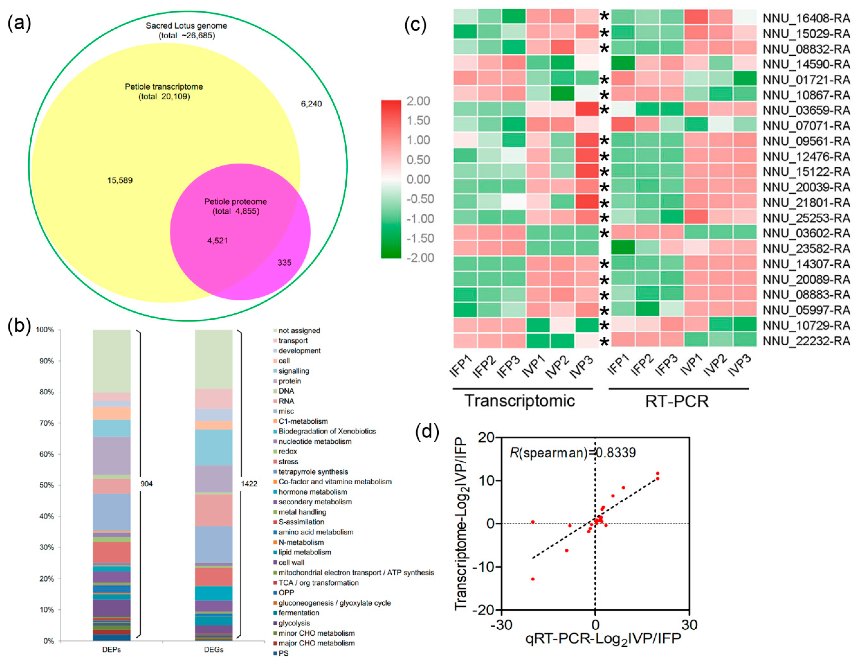 Ijms 21 05087 g004 Ijms 21 05087 g004