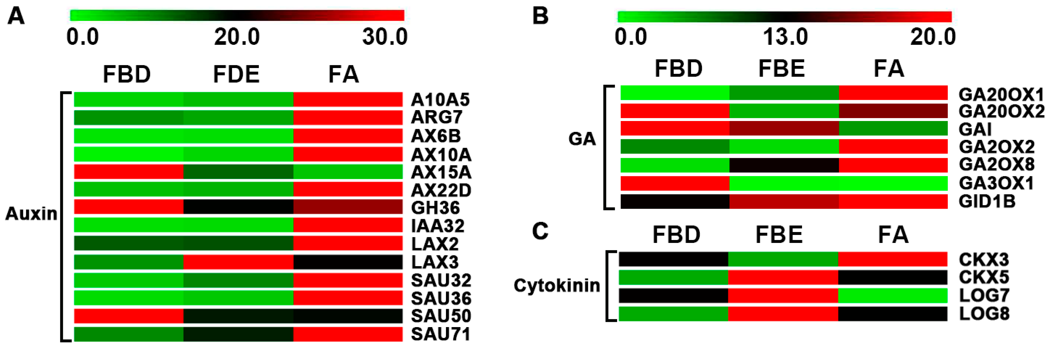 Ijms 21 05107 g004 Ijms 21 05107 g004