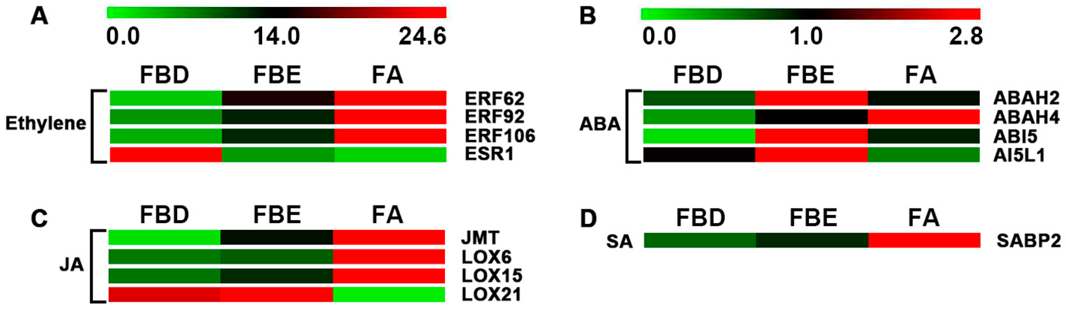 Ijms 21 05107 g005 Ijms 21 05107 g005