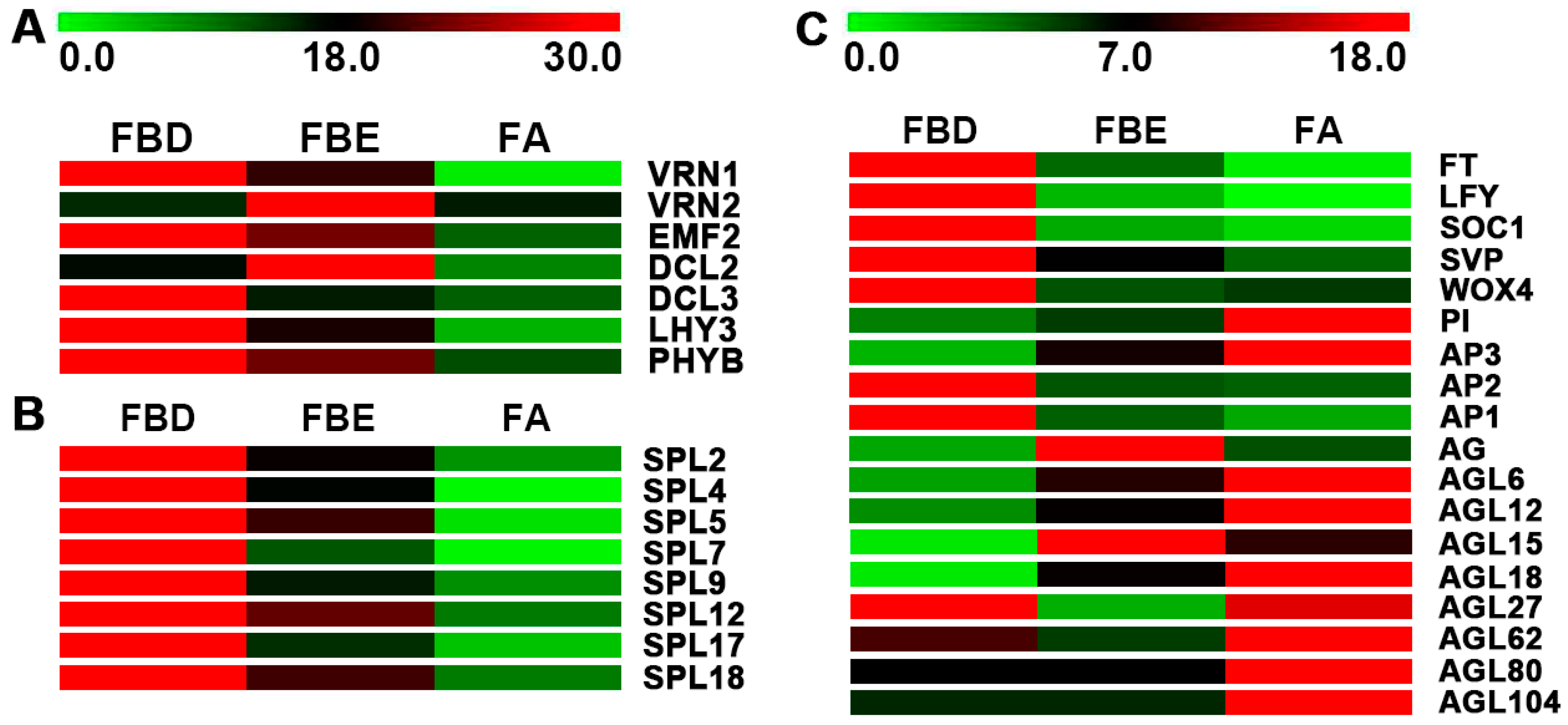 Ijms 21 05107 g006 Ijms 21 05107 g006