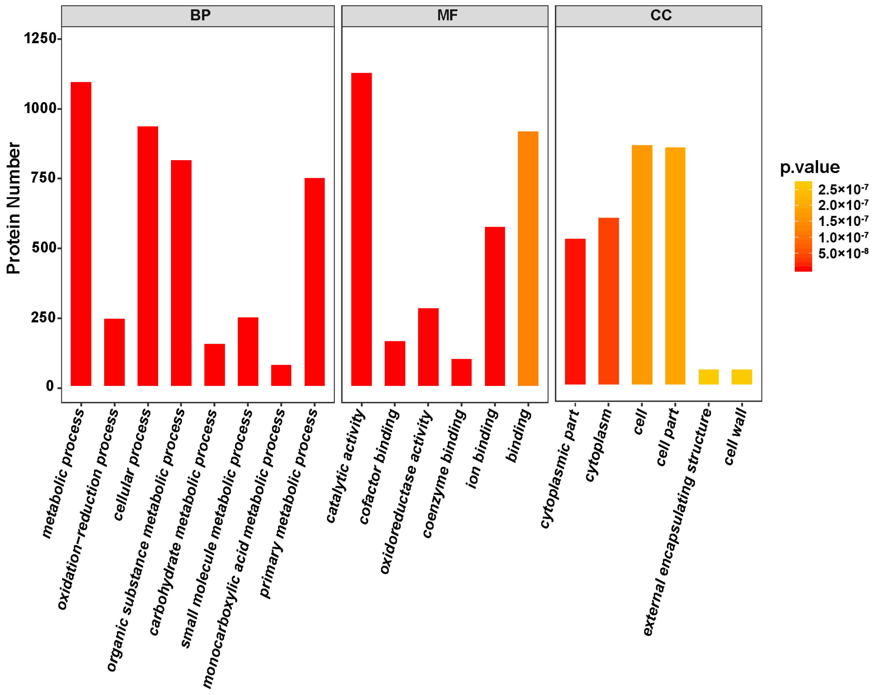 Ijms 21 05107 g007 Ijms 21 05107 g007
