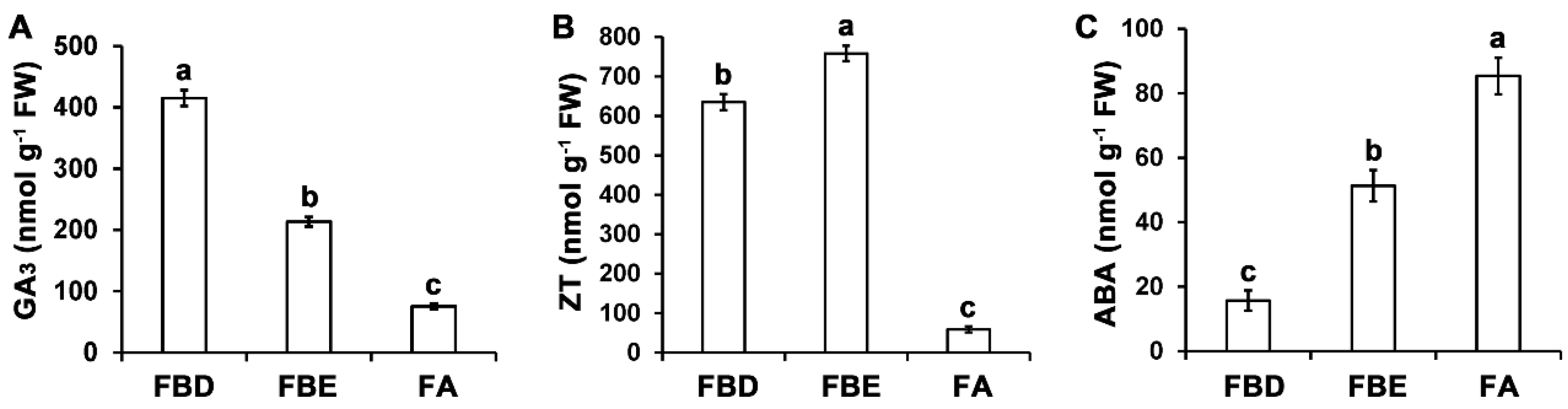 Ijms 21 05107 g011 Ijms 21 05107 g011