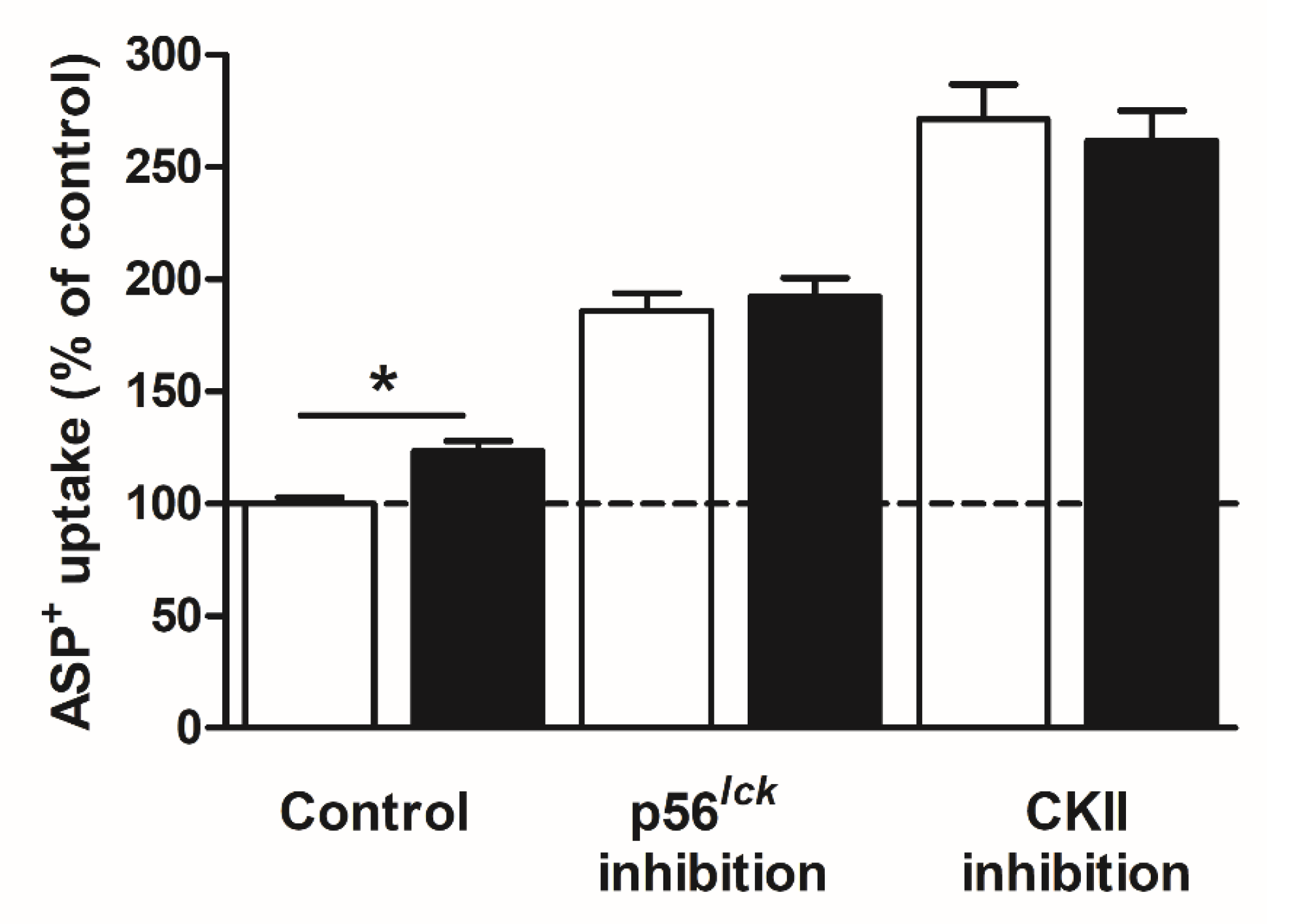 Ijms 21 05157 g004 Ijms 21 05157 g004