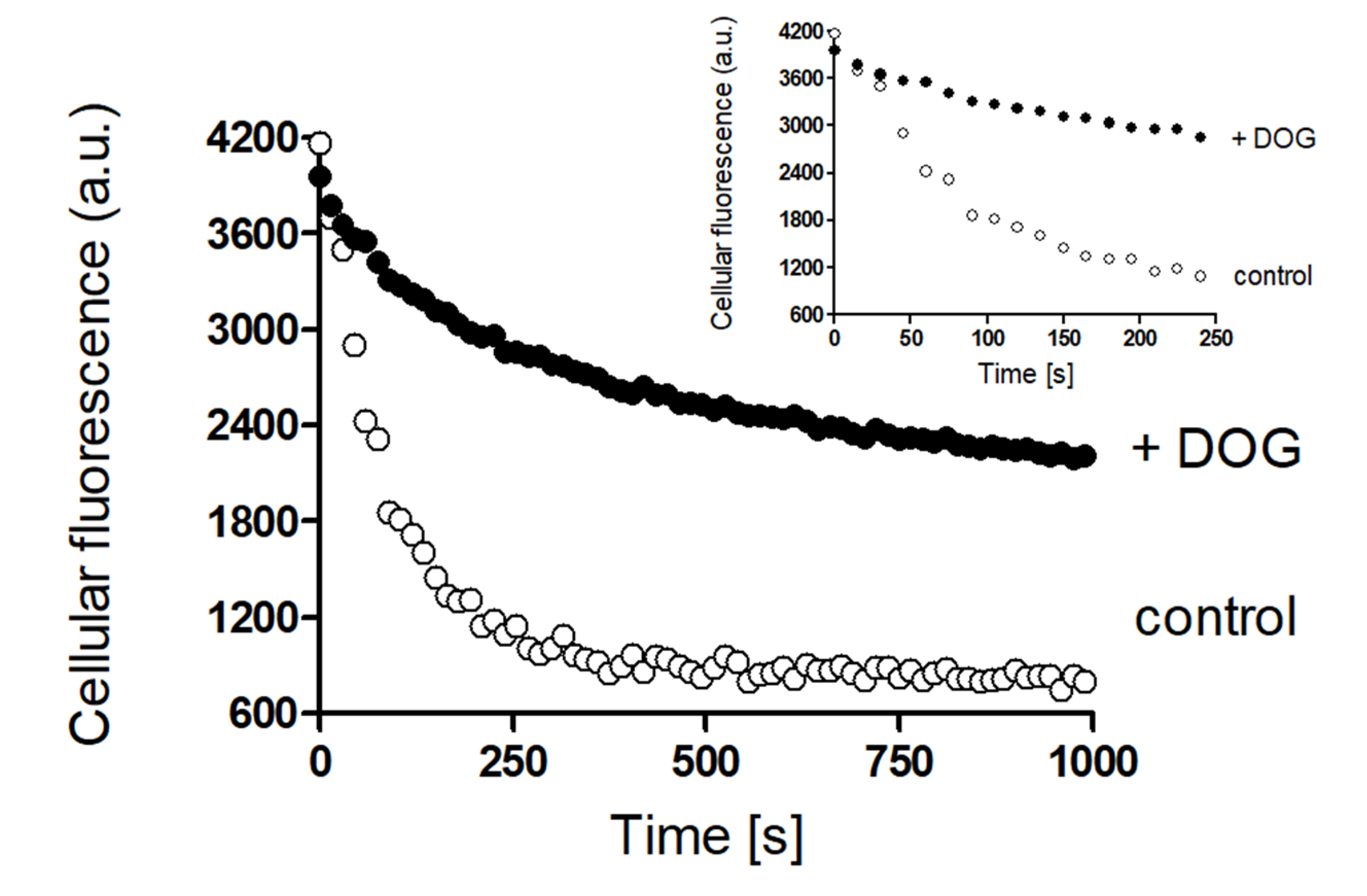 Ijms 21 05157 g006 Ijms 21 05157 g006
