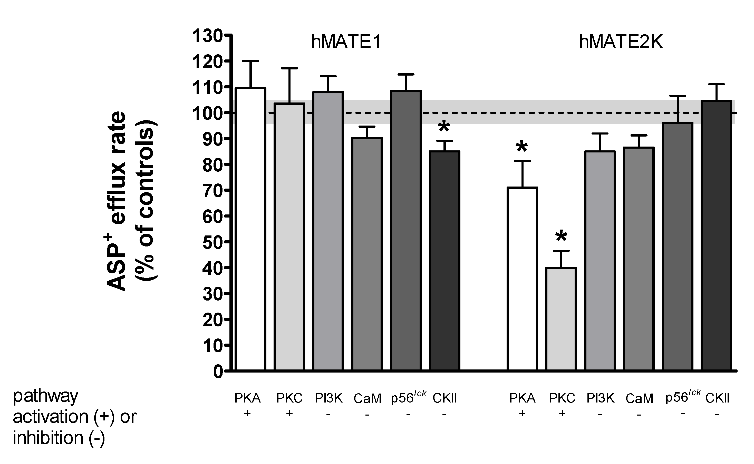 Ijms 21 05157 g007 Ijms 21 05157 g007
