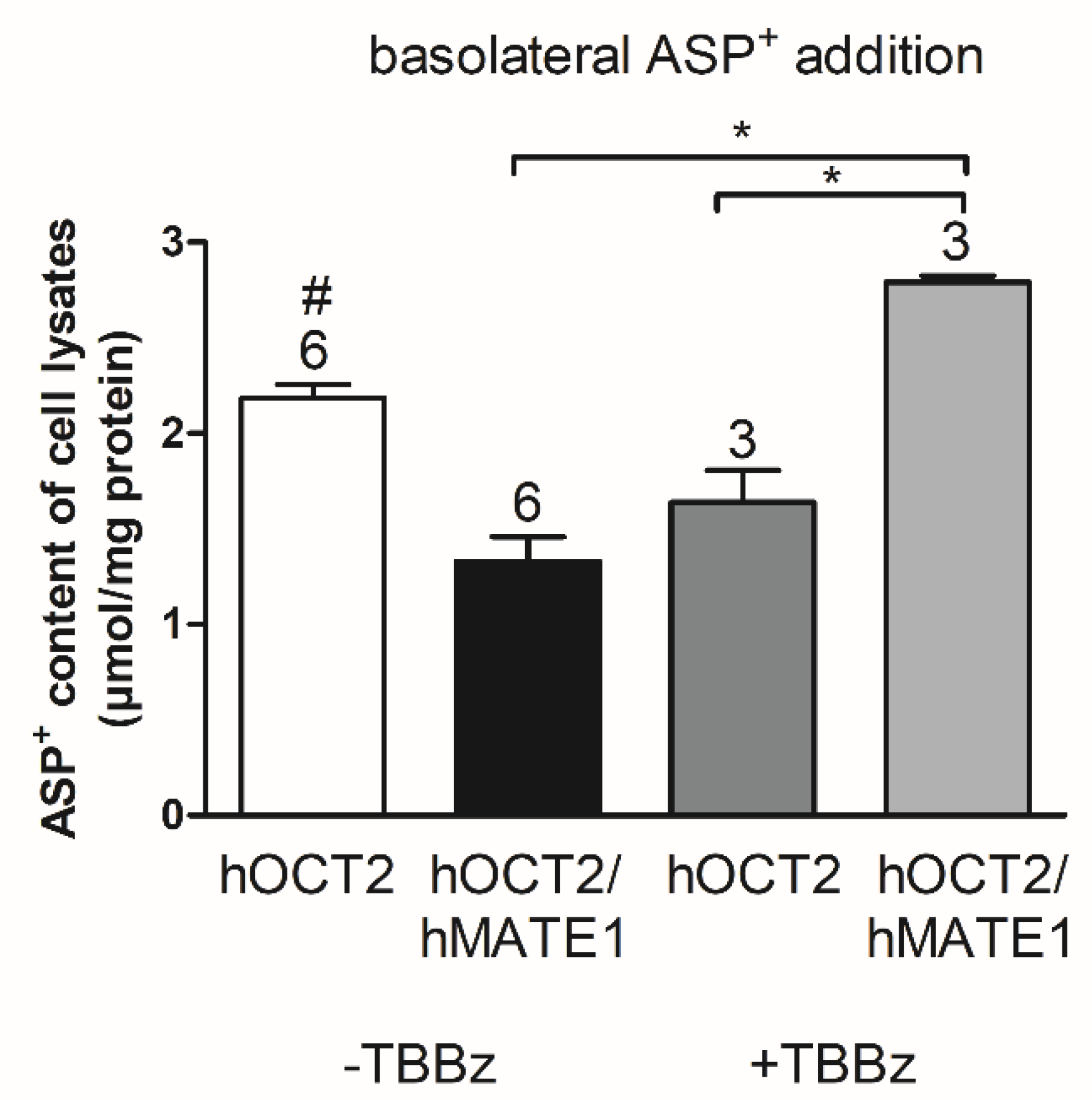 Ijms 21 05157 g008 Ijms 21 05157 g008